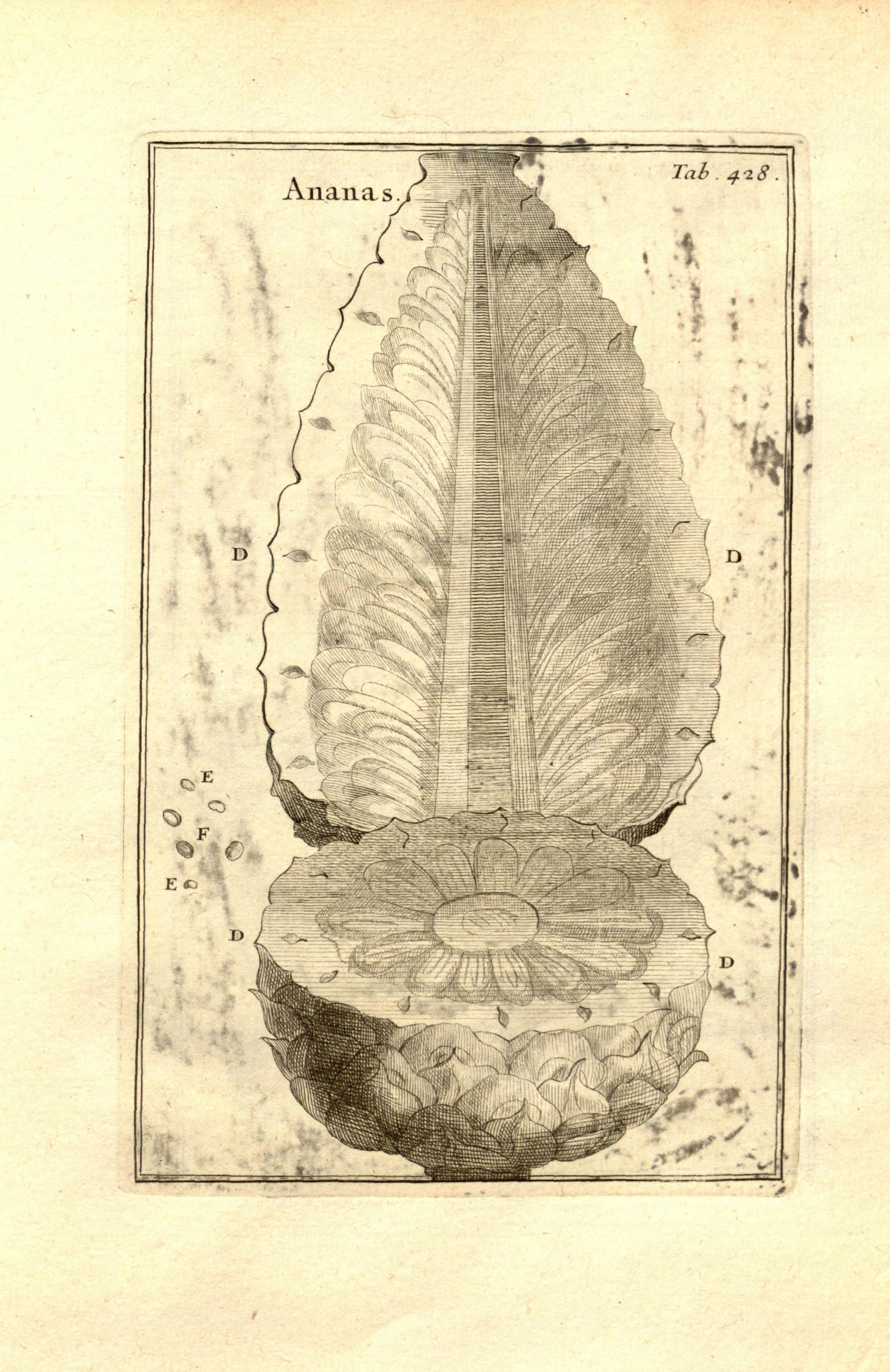 no full size  illustration available (3a)