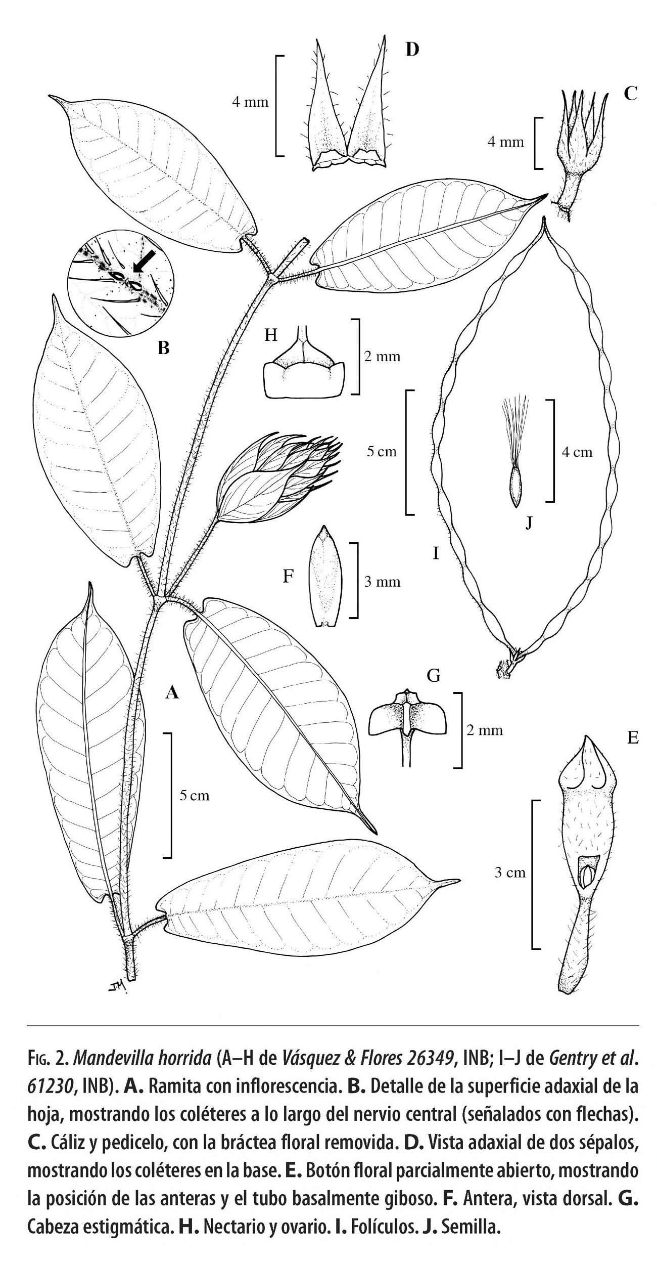 no full size  illustration available (3a)