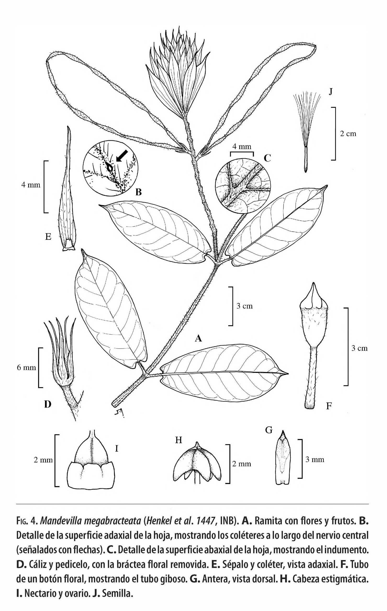 no full size  illustration available (3a)