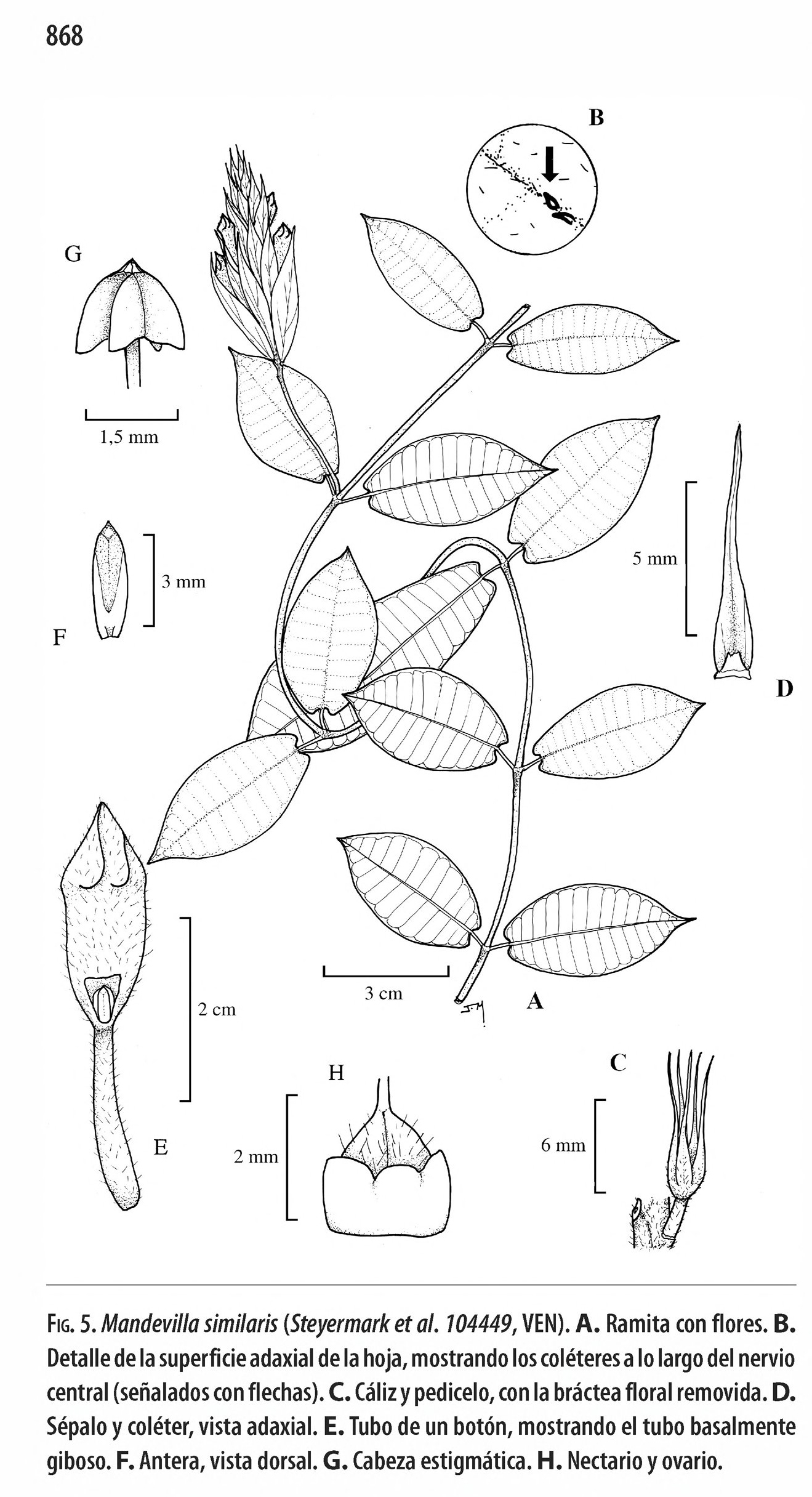 no full size  illustration available (3a)