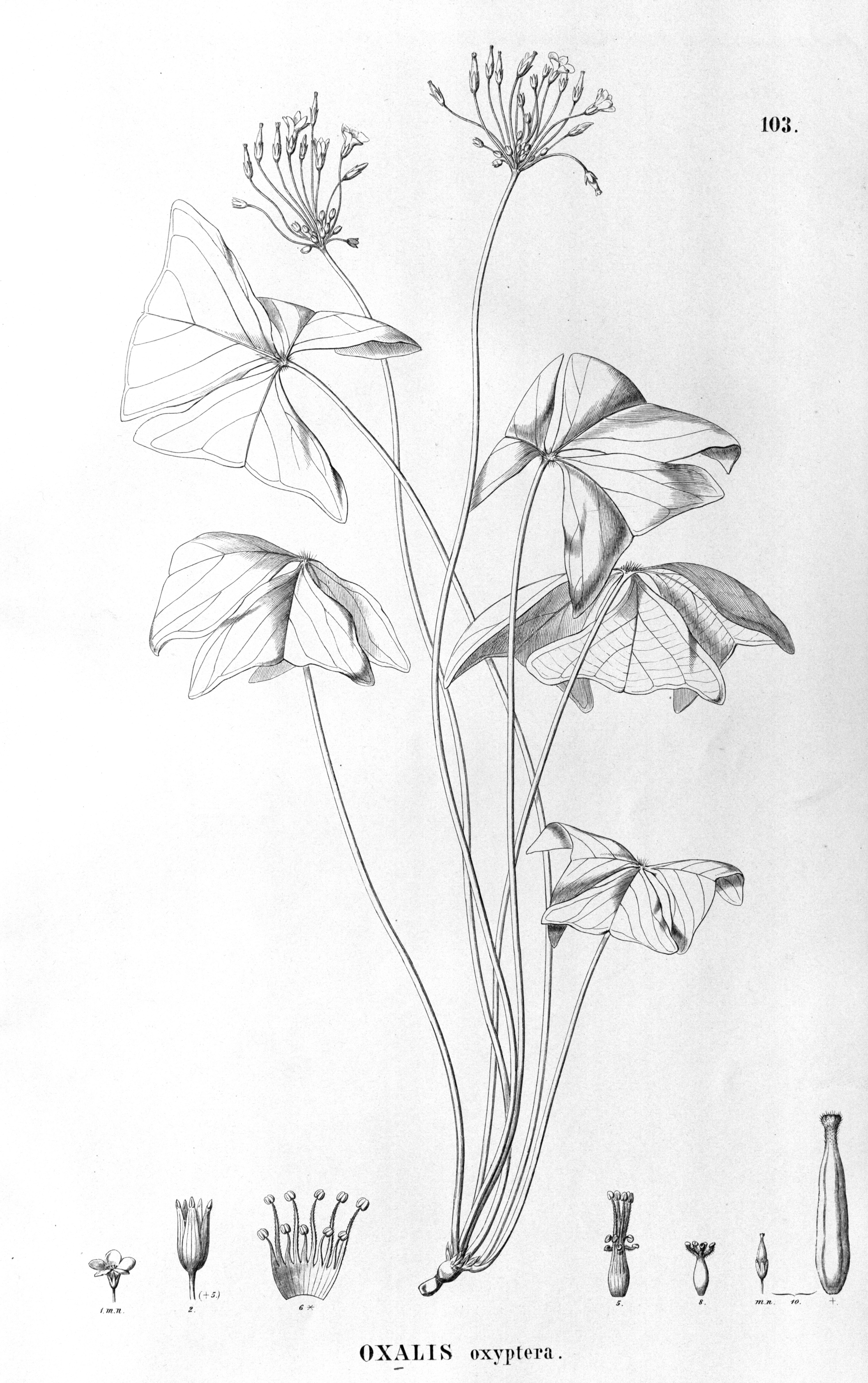 no full size  illustration available (3a)