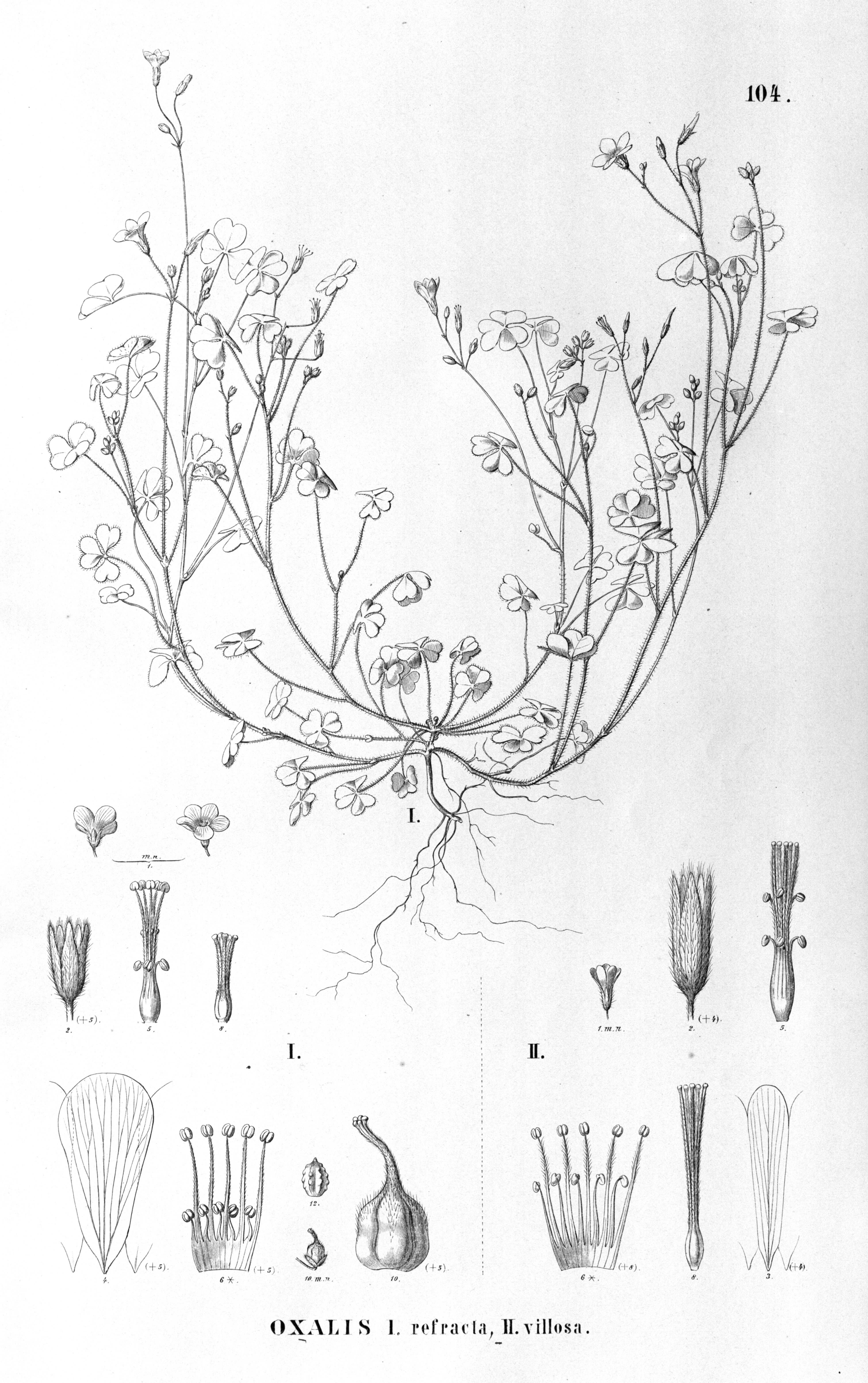 no full size  illustration available (3a)