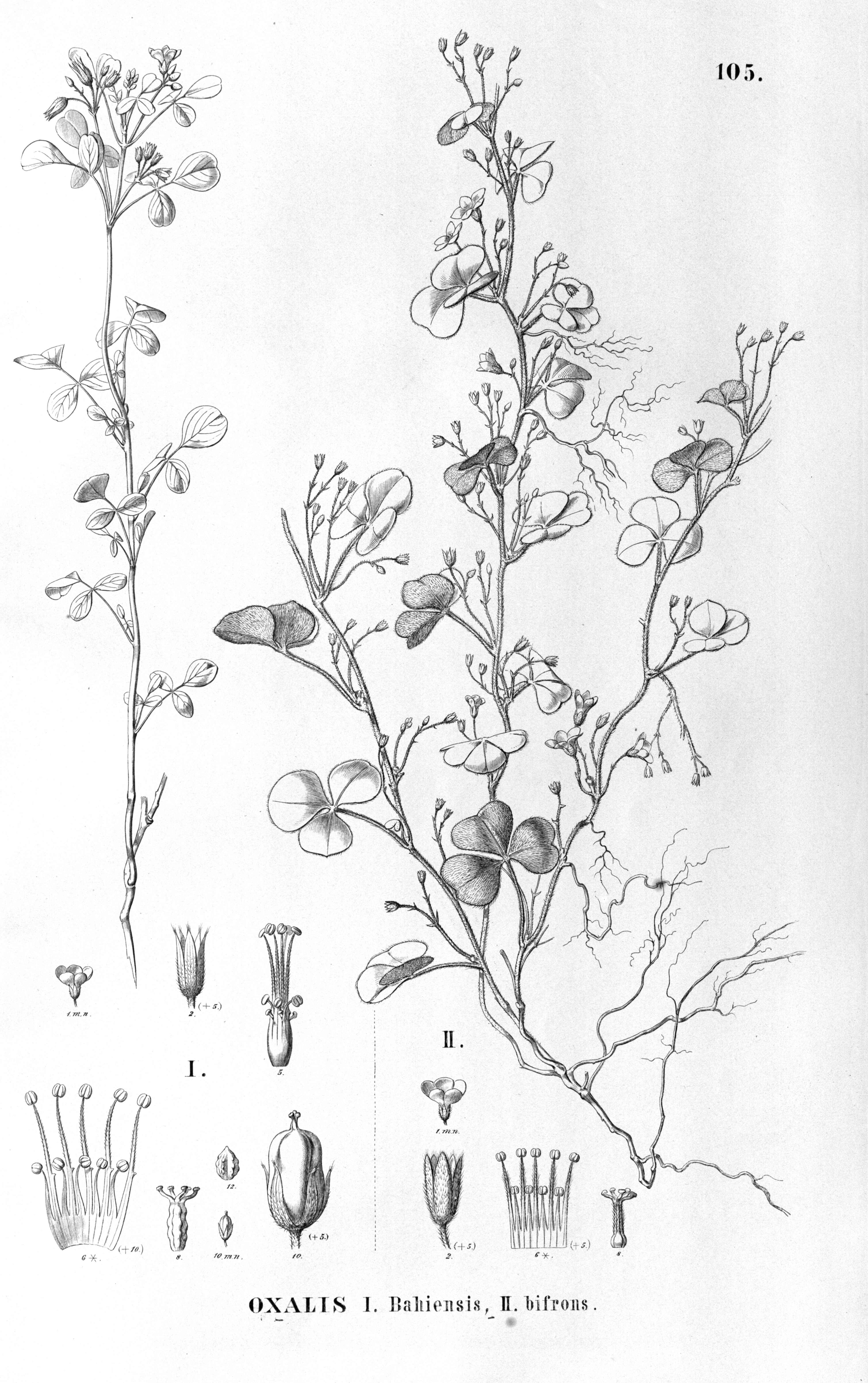 no full size  illustration available (3a)