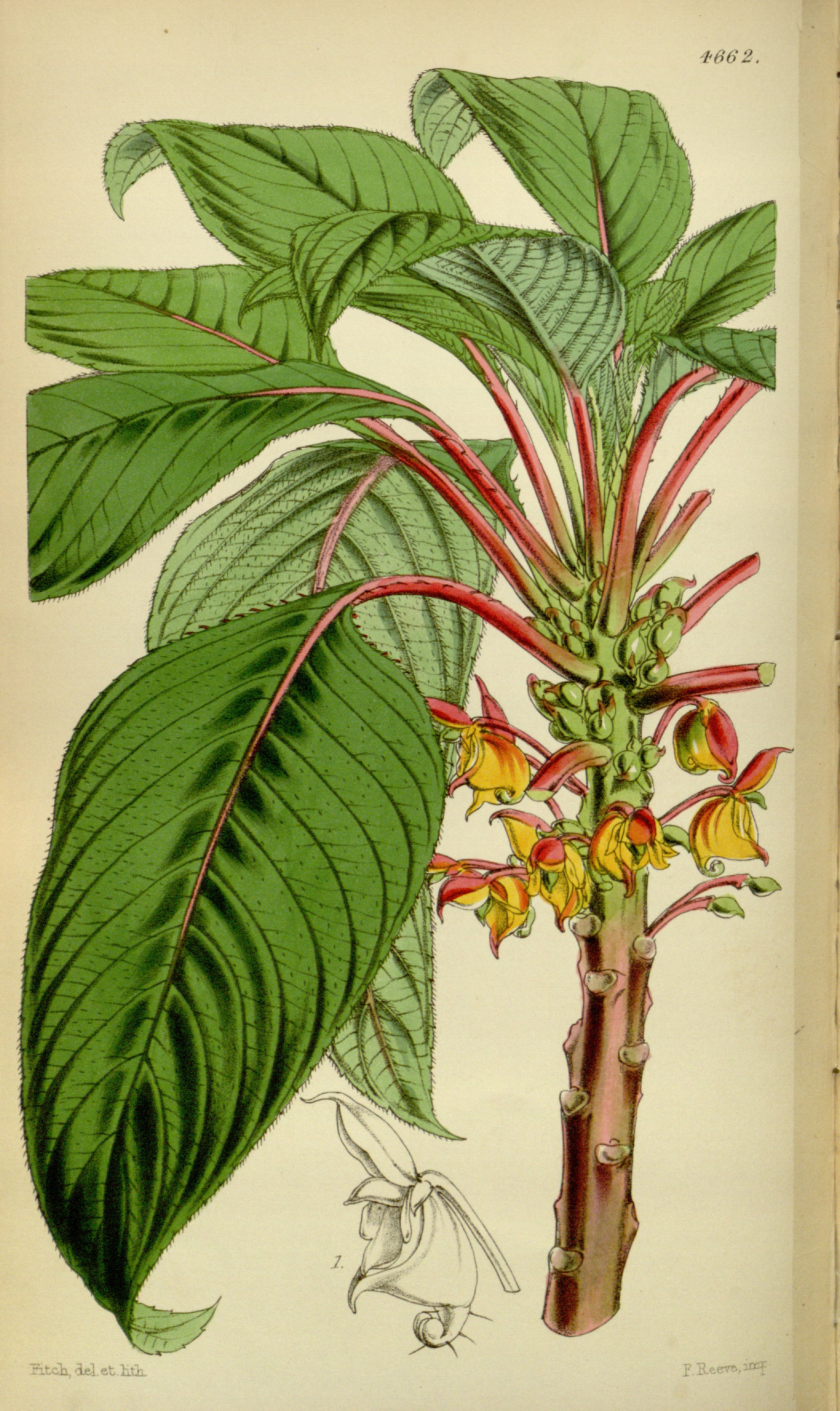 no full size  illustration available (3a)