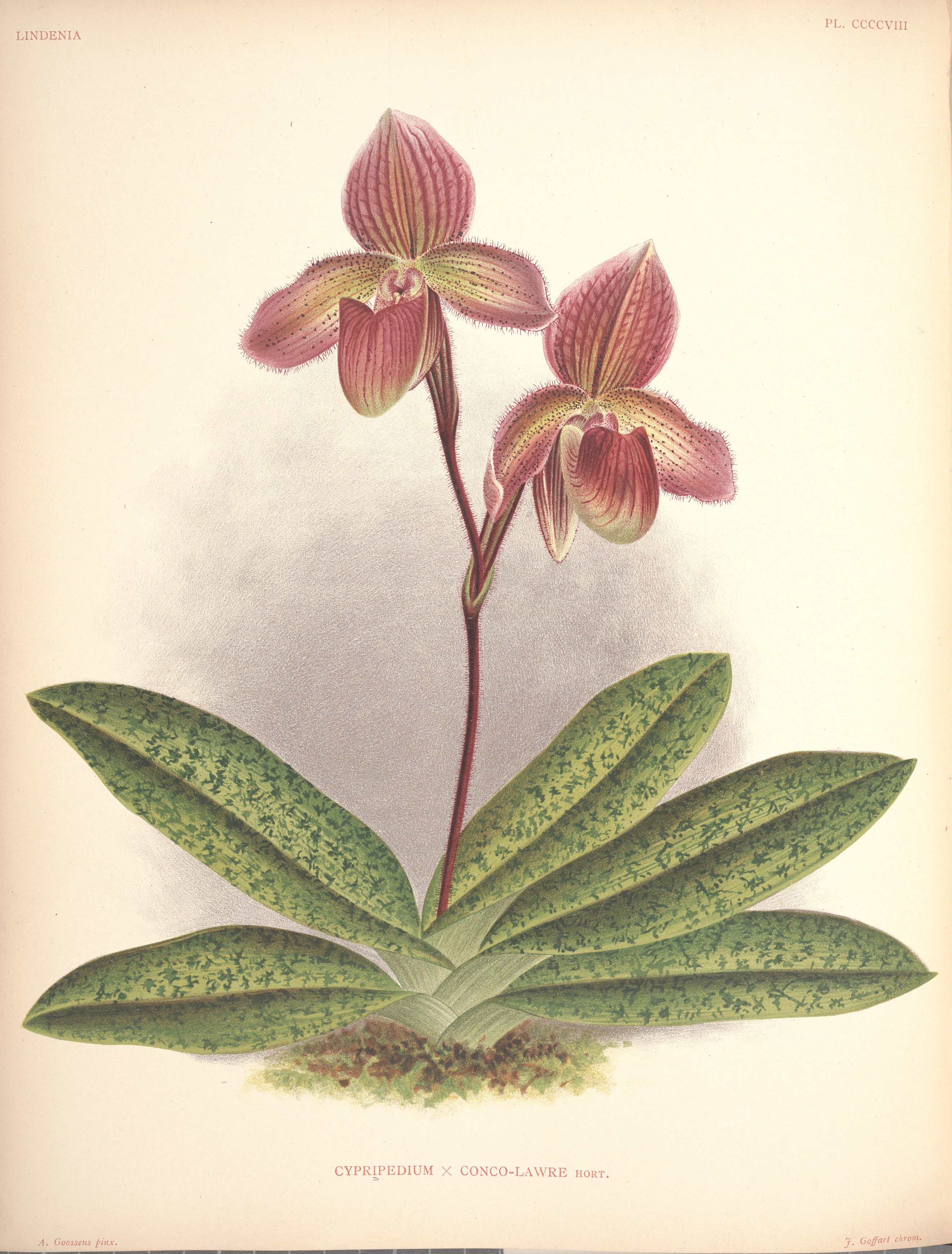 no full size  illustration available (3a)