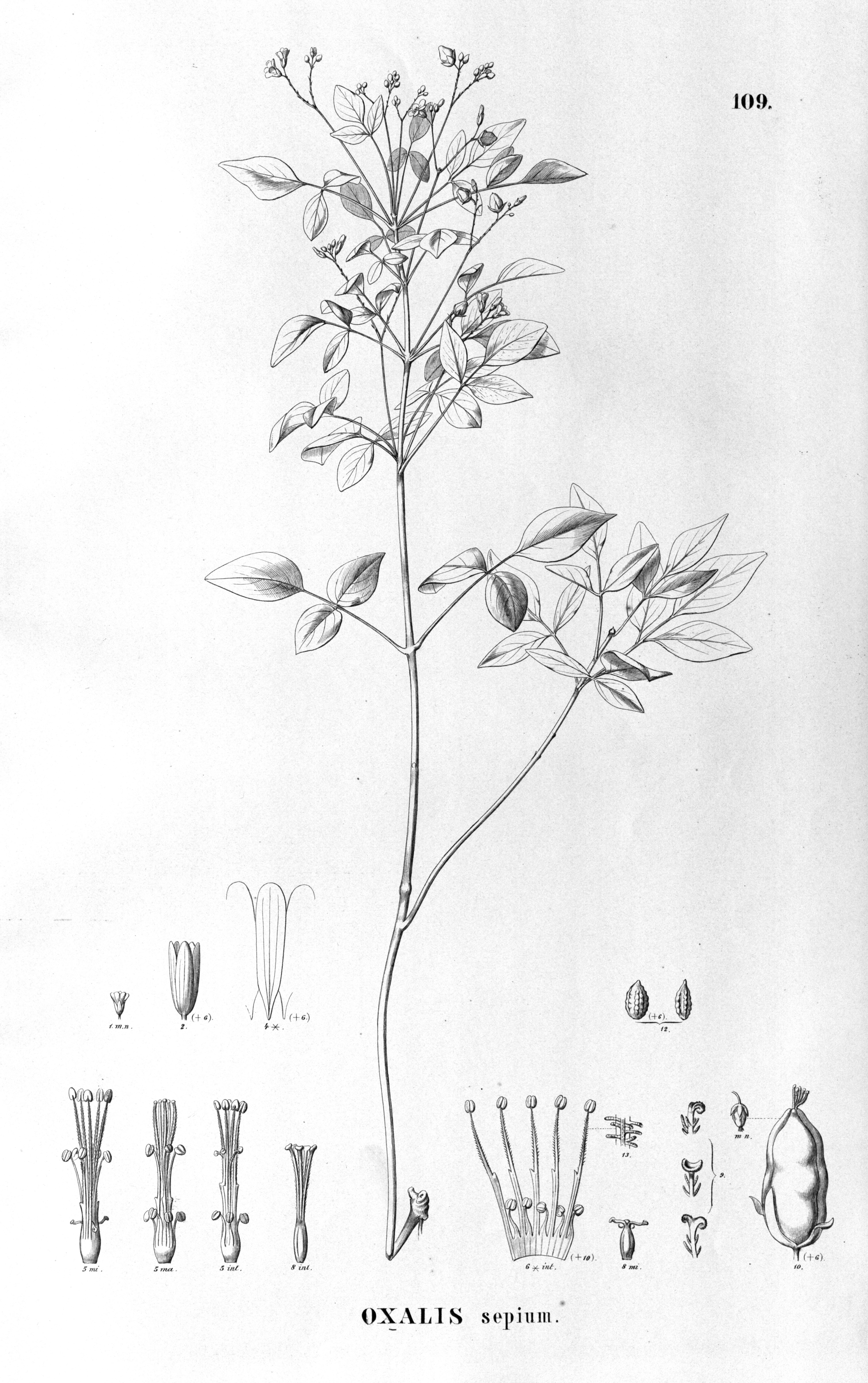 no full size  illustration available (3a)