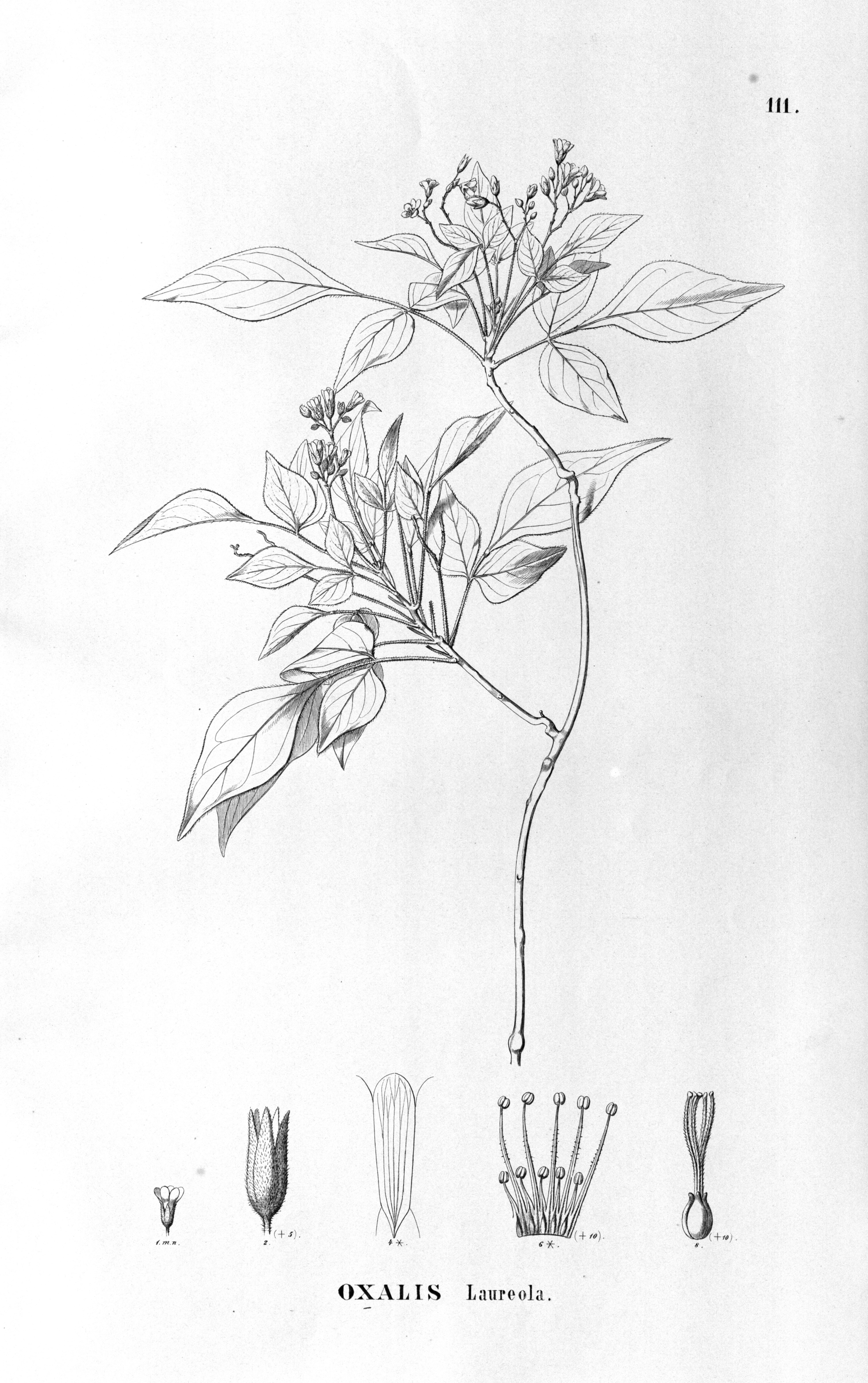 no full size  illustration available (3a)