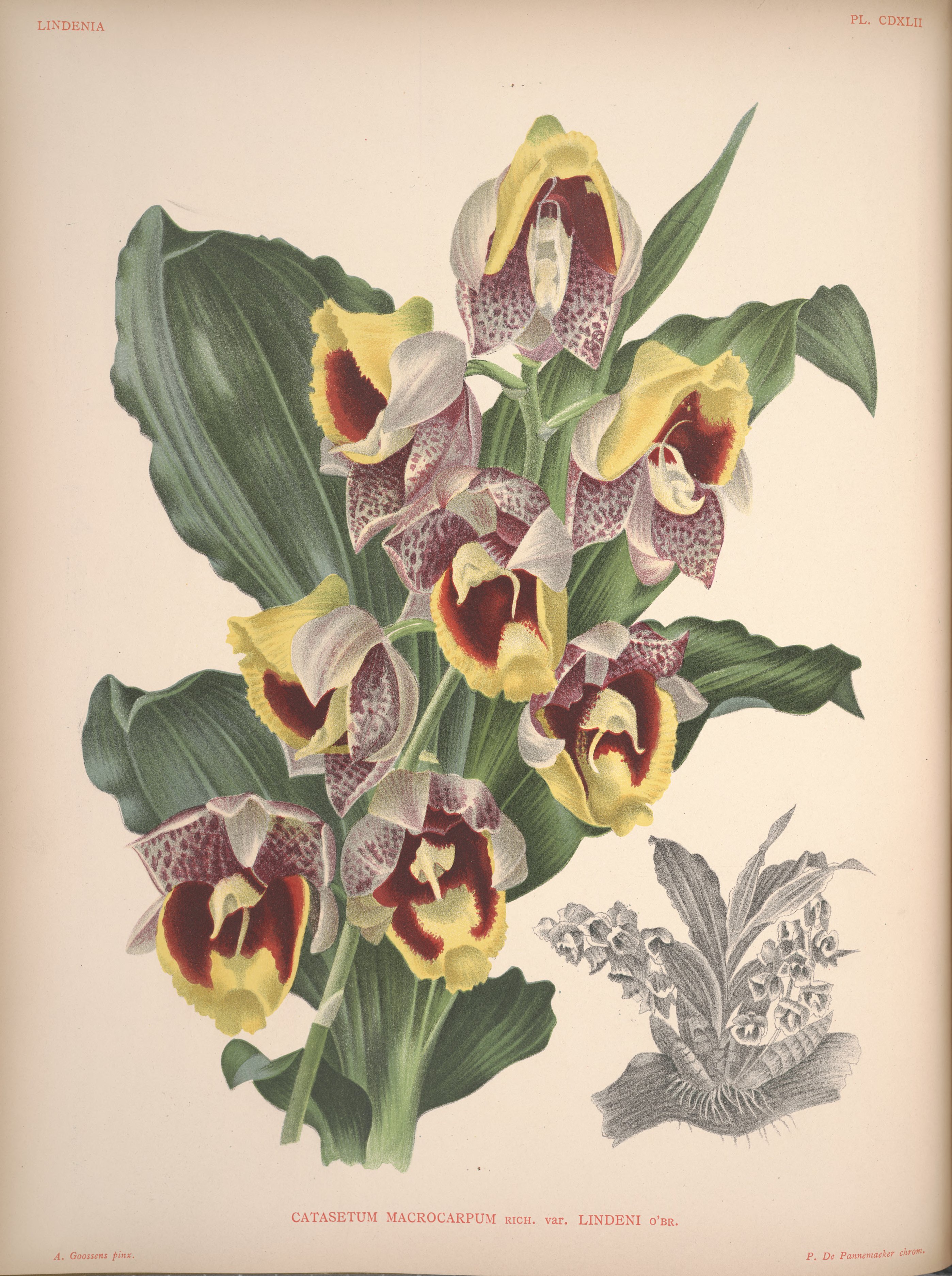 no full size  illustration available (3a)