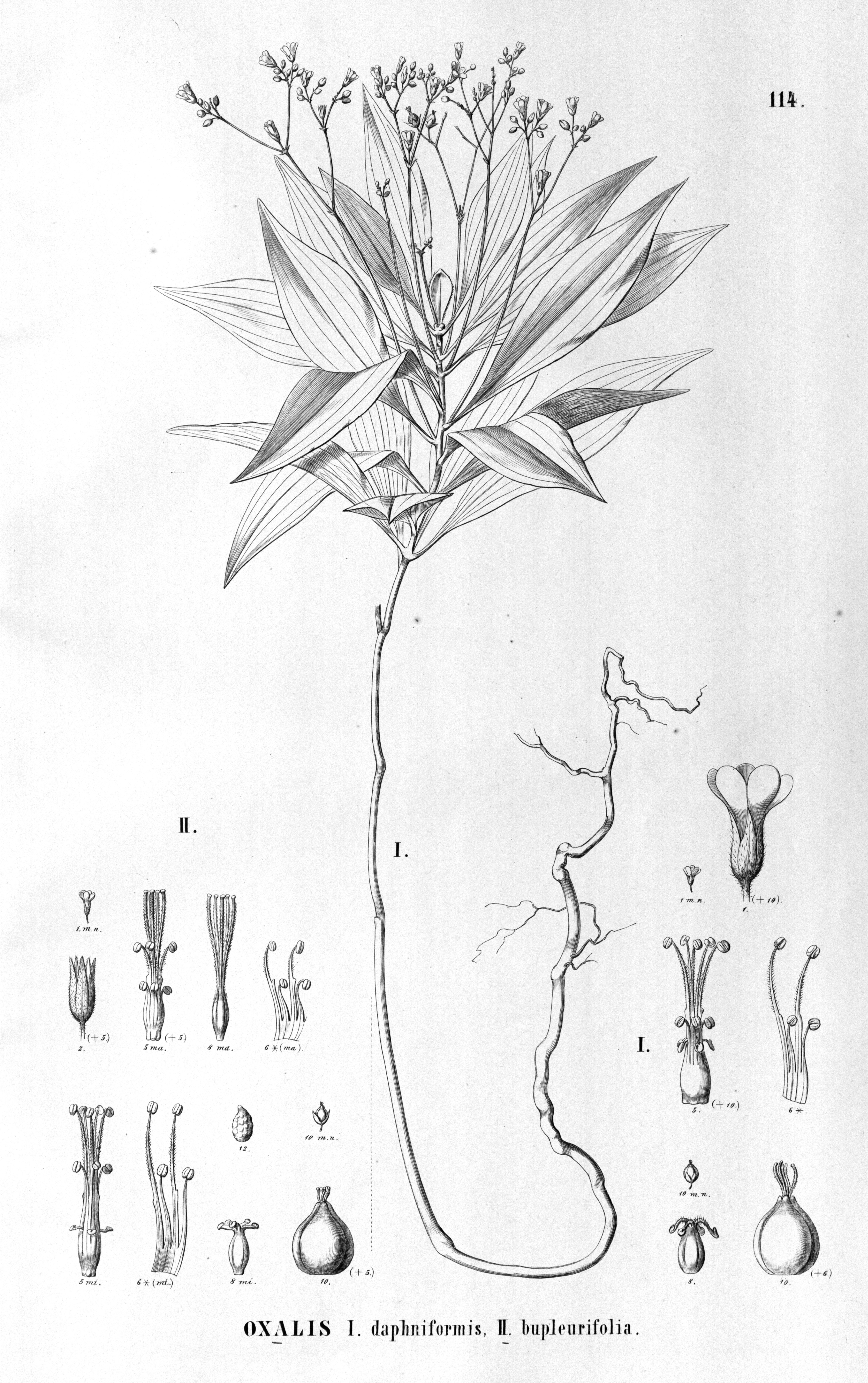 no full size  illustration available (3a)