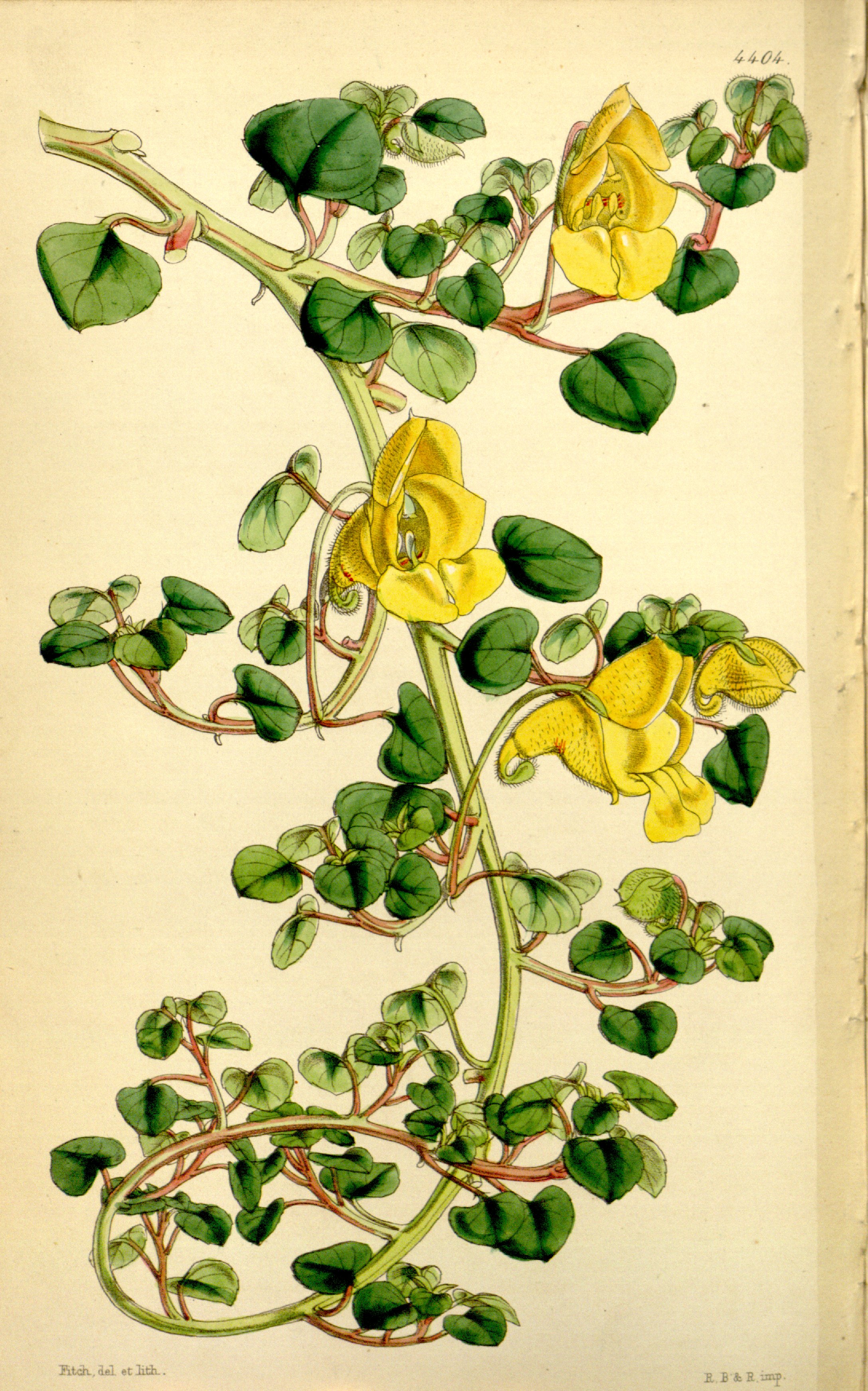 no full size  illustration available (3a)