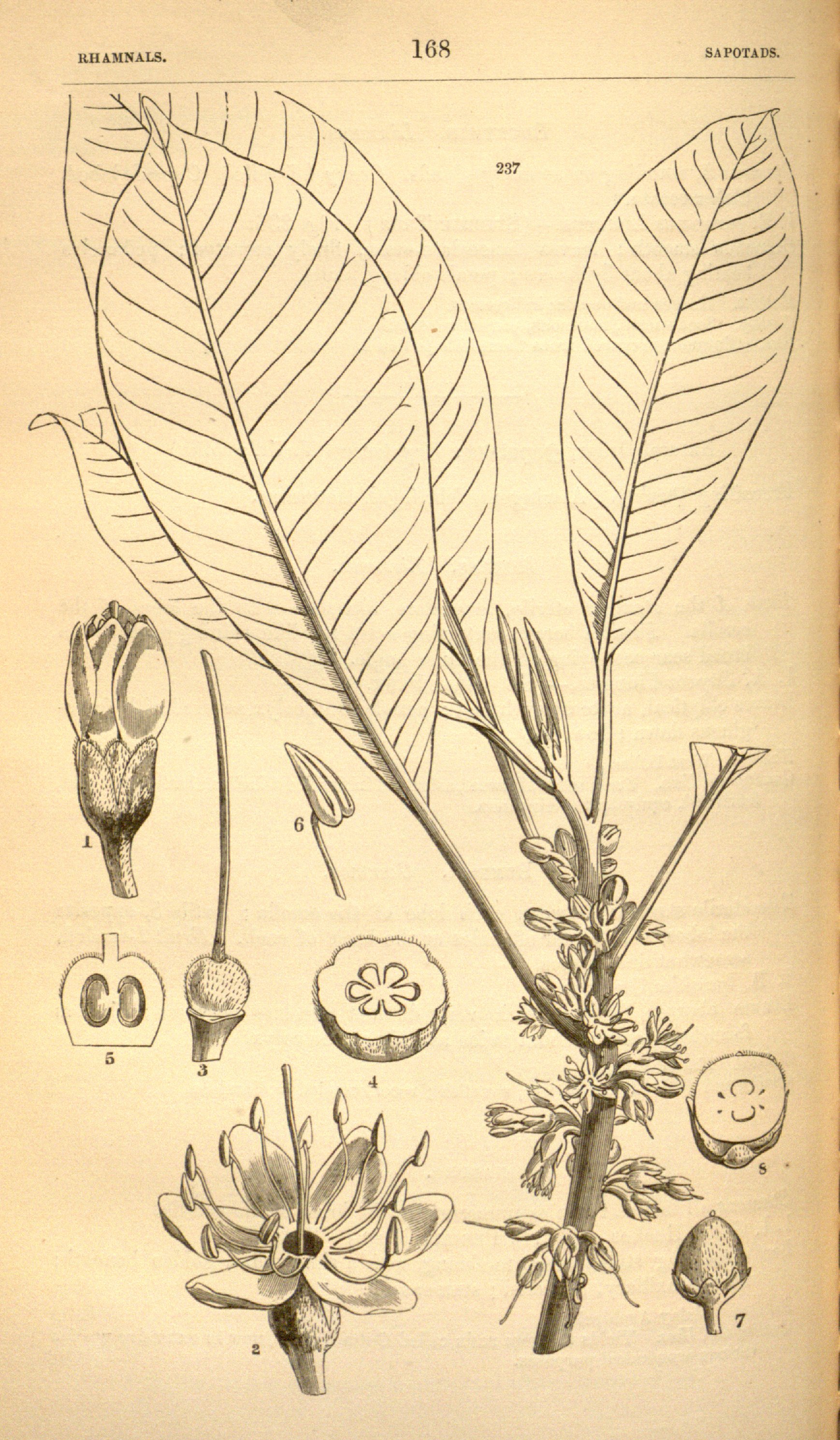 no full size  illustration available (3a)