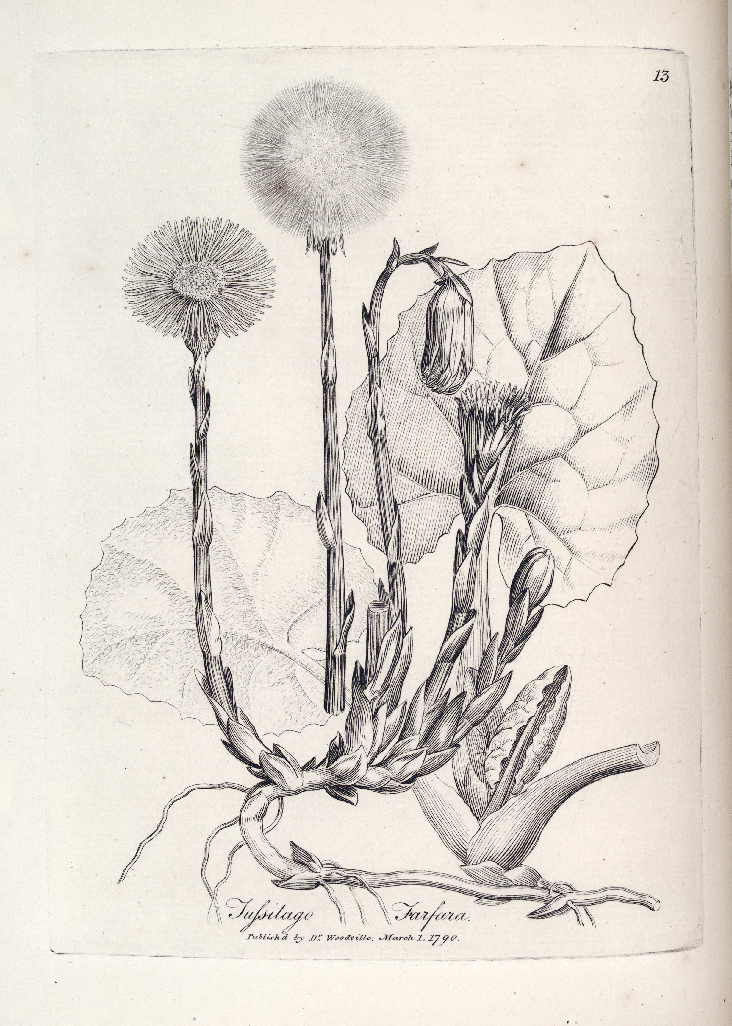 no full size  illustration available (3a)