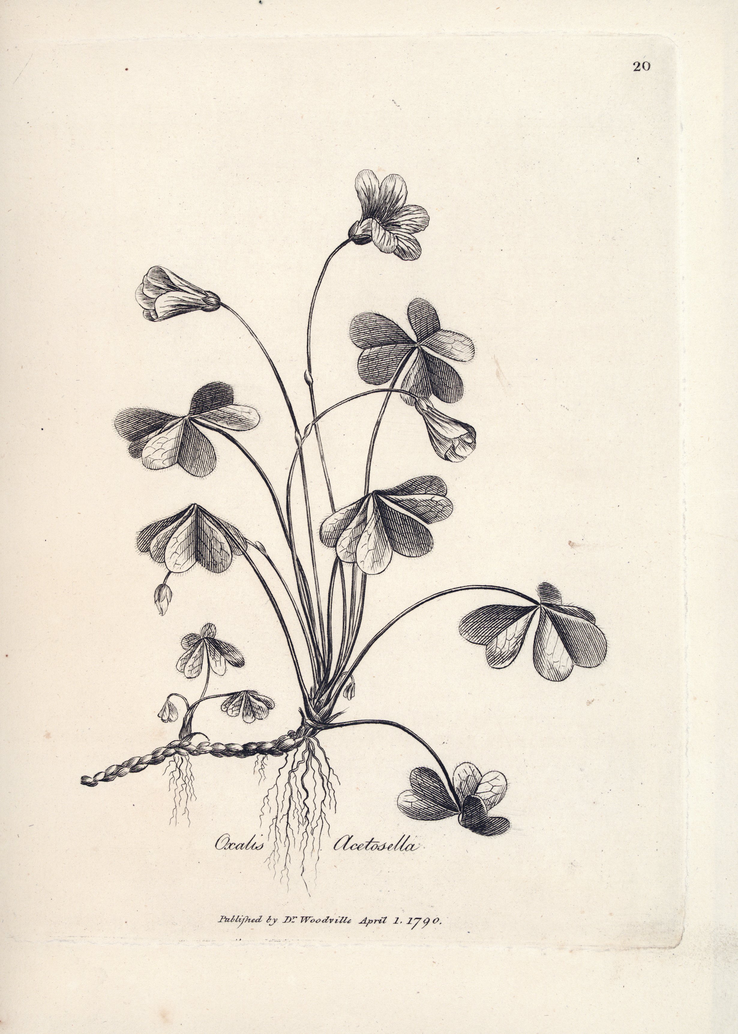 no full size  illustration available (3a)