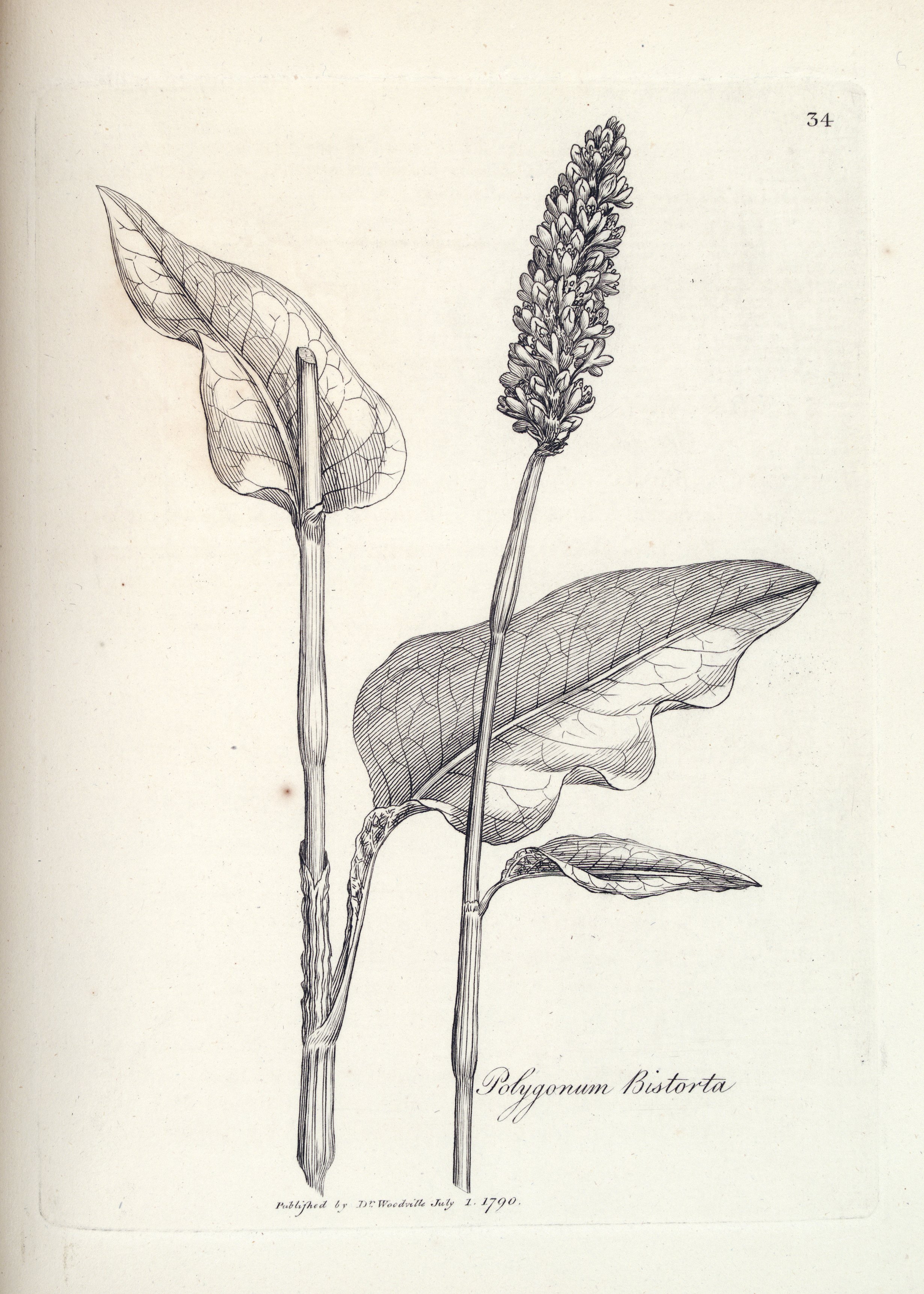 no full size  illustration available (3a)