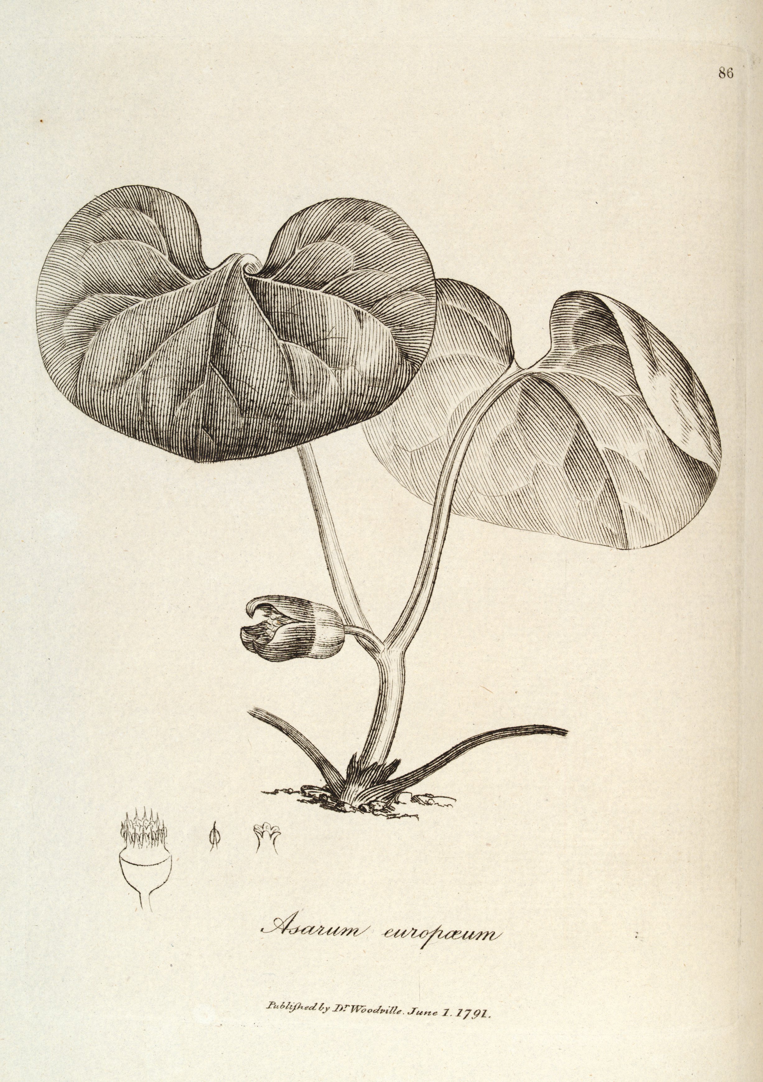 no full size  illustration available (3a)