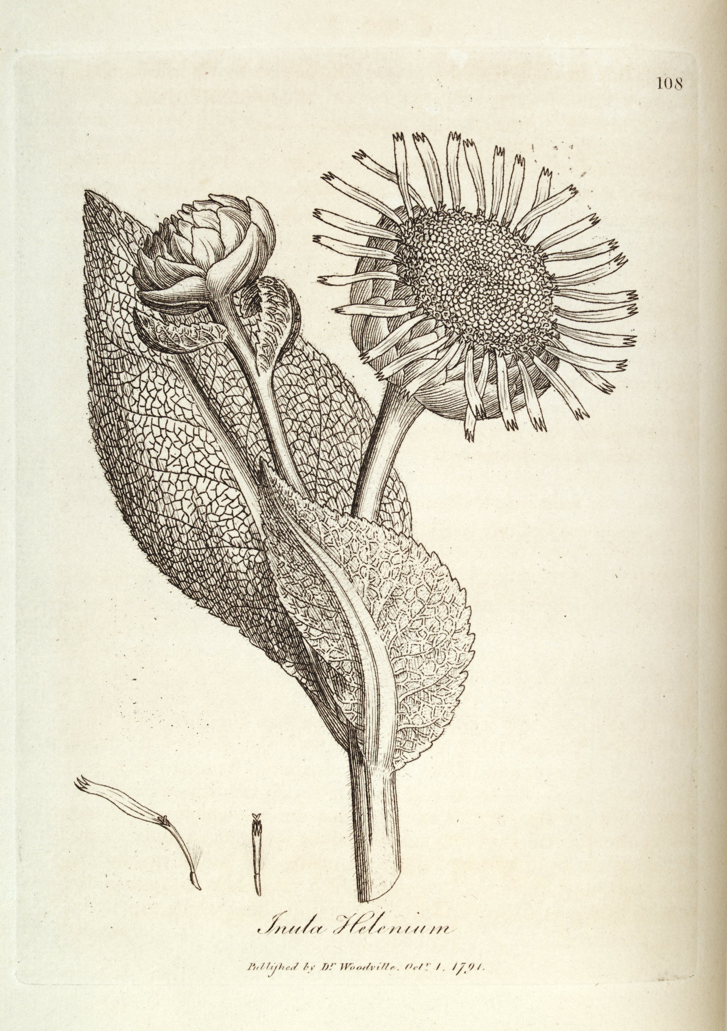 no full size  illustration available (3a)