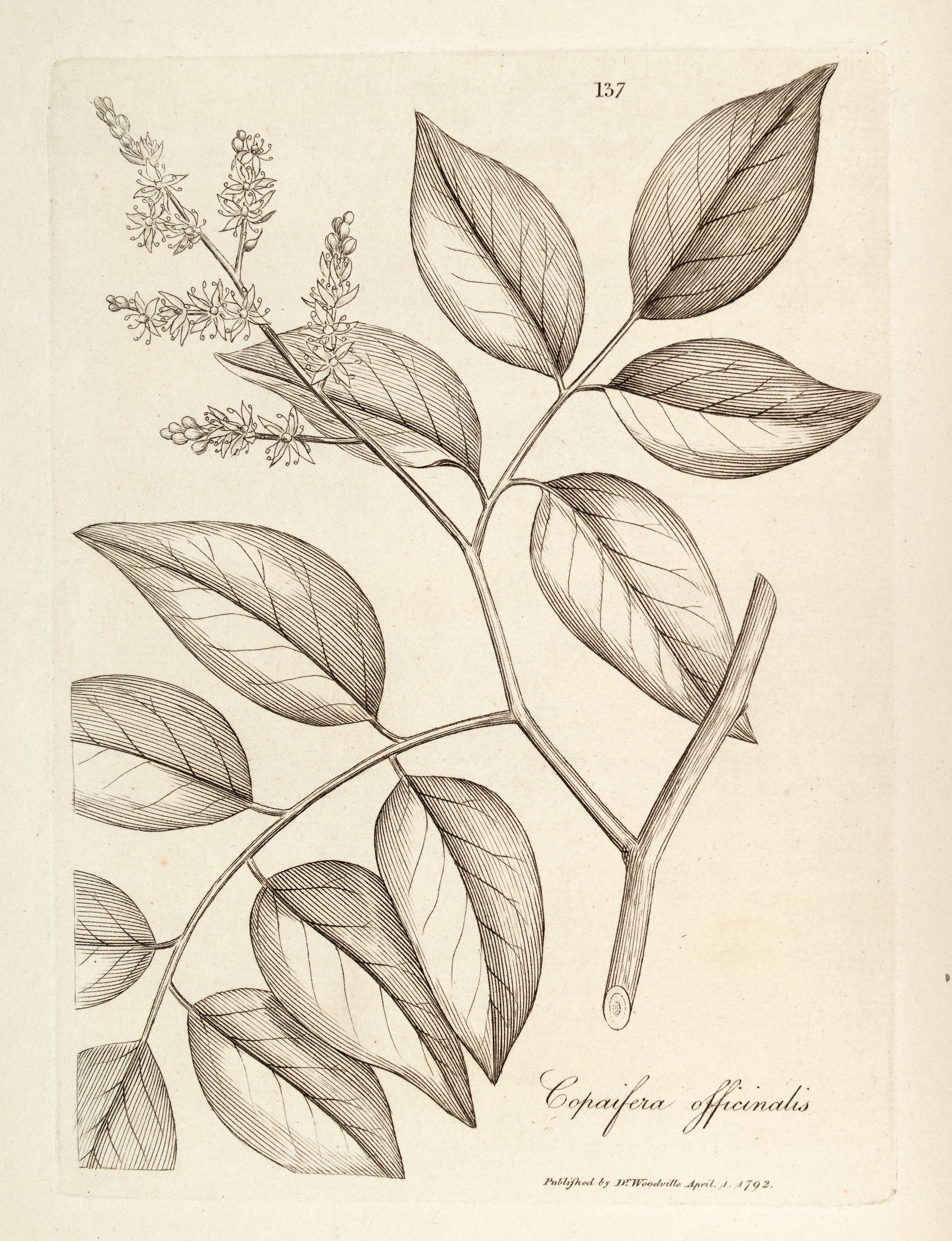 no full size  illustration available (3a)