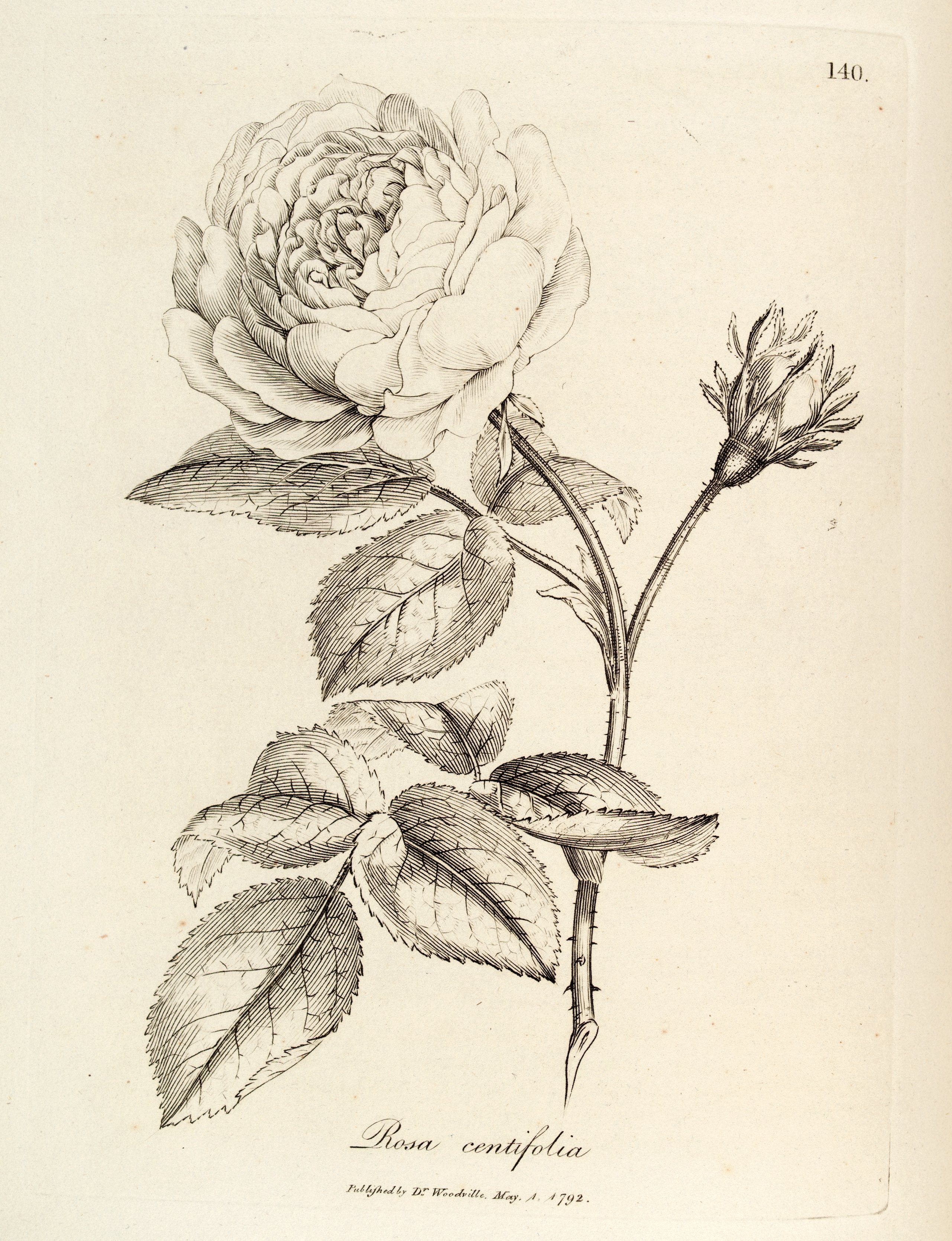 no full size  illustration available (3a)