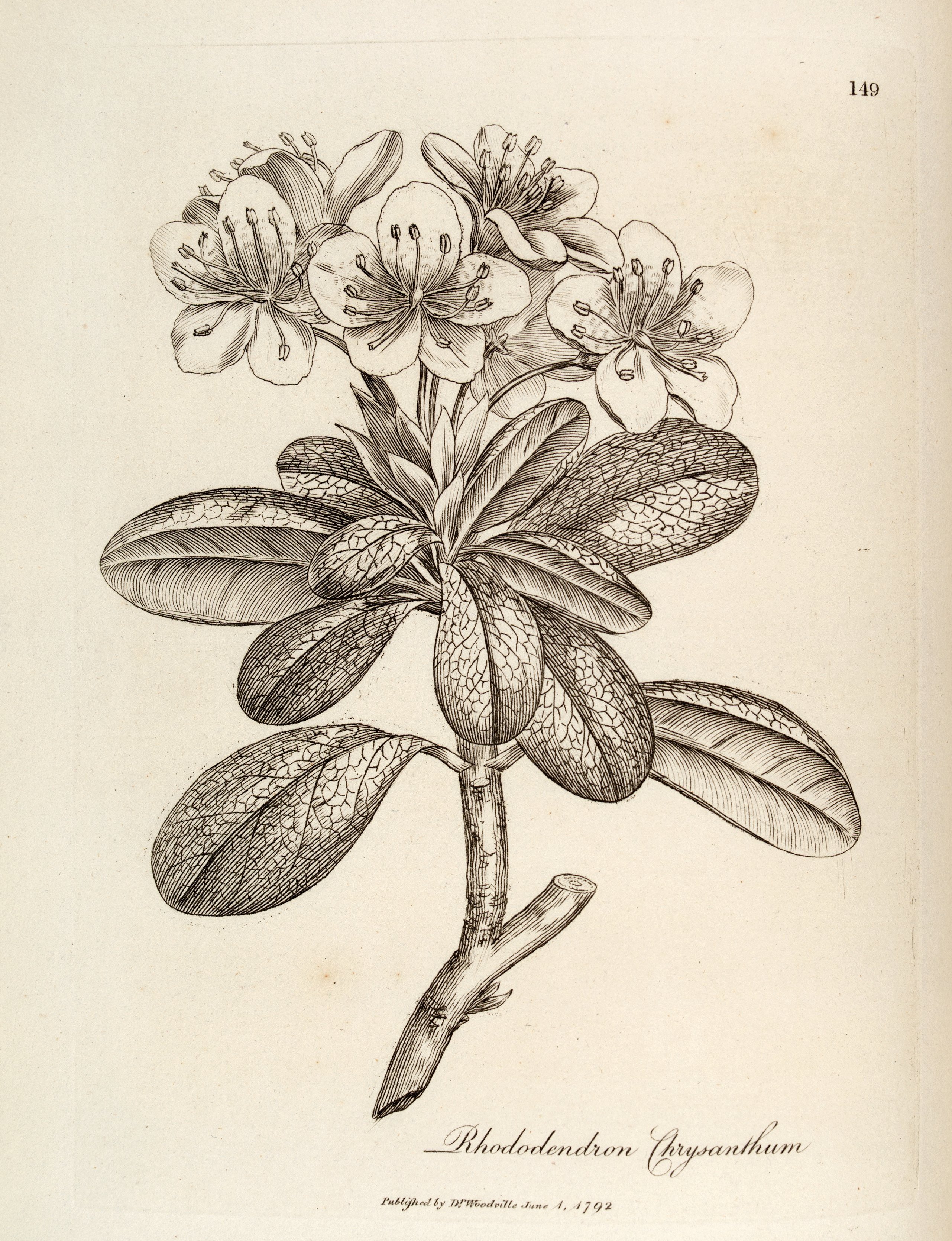 no full size  illustration available (3a)