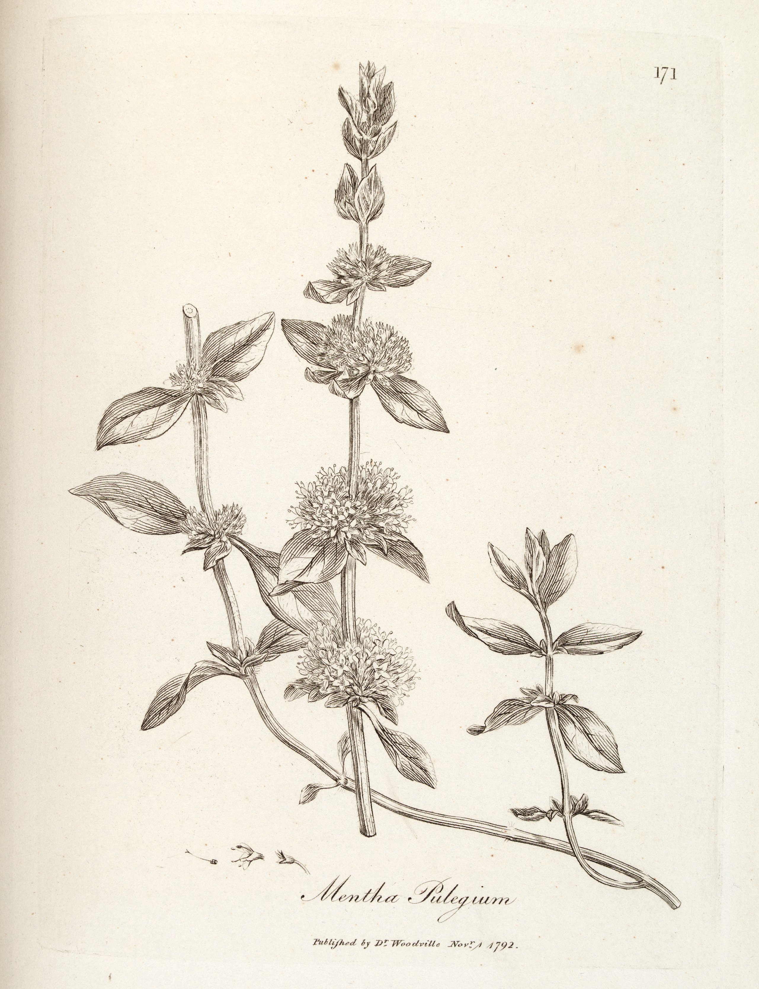 no full size  illustration available (3a)