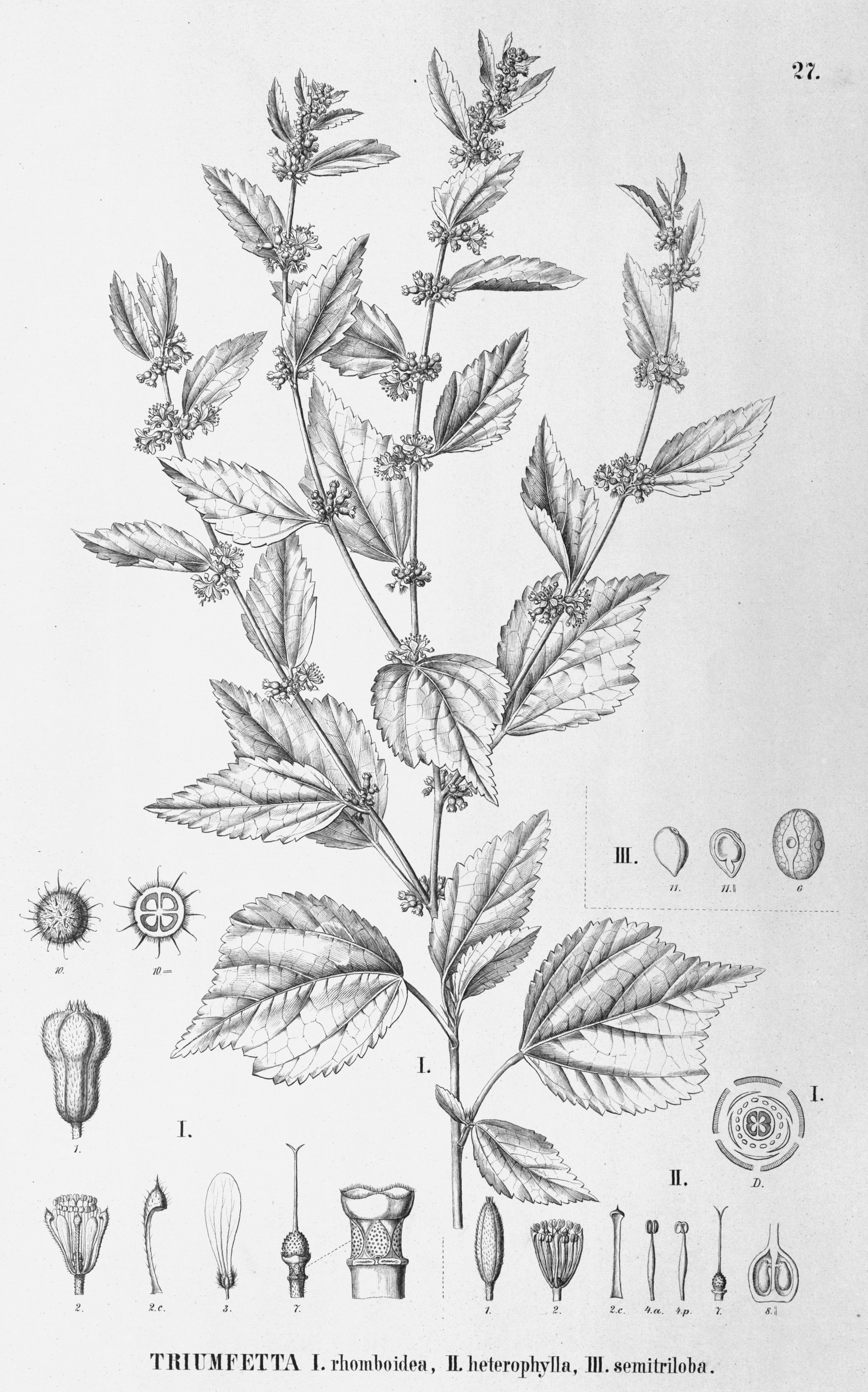 no full size  illustration available (3a)