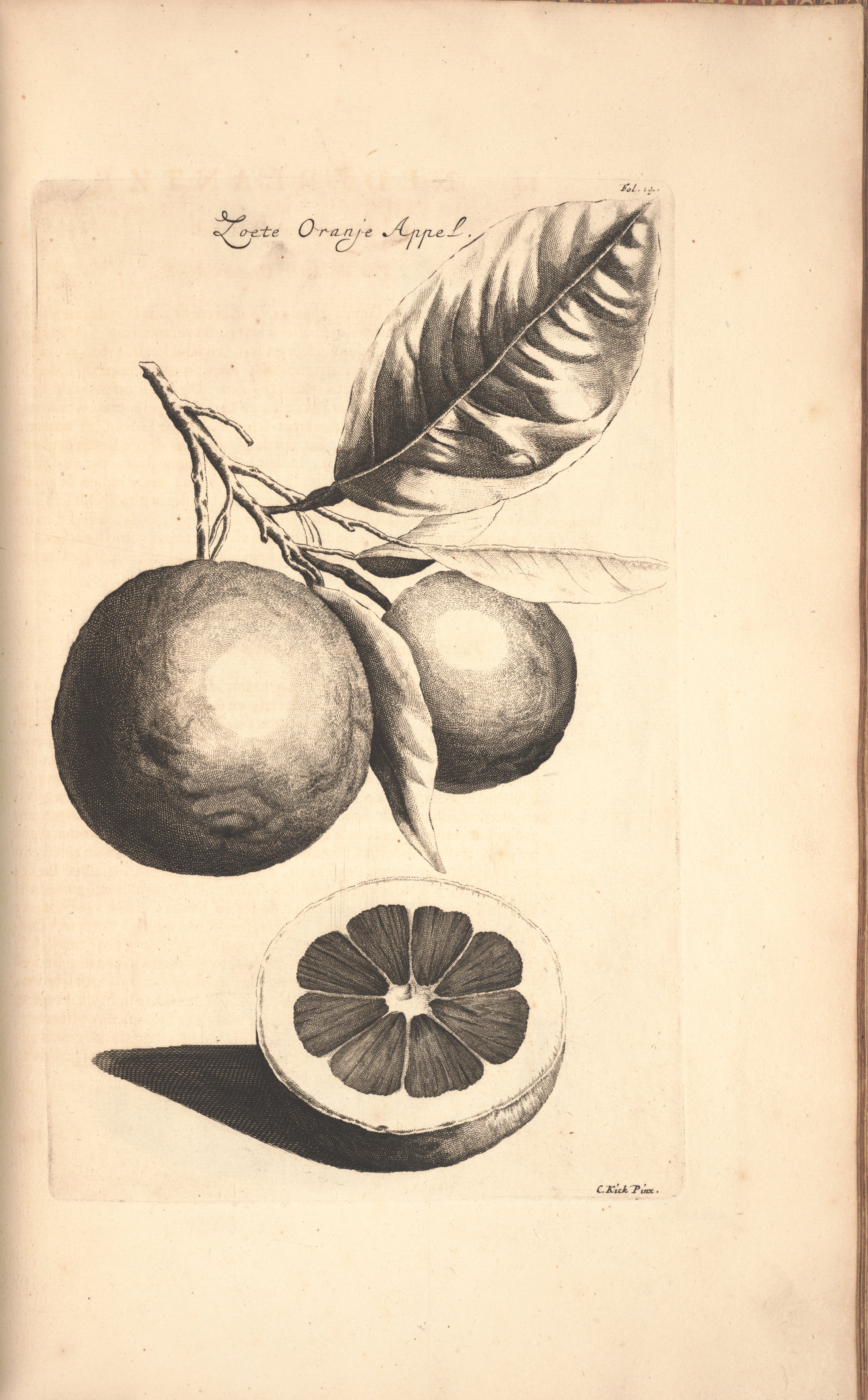 no full size  illustration available (3a)