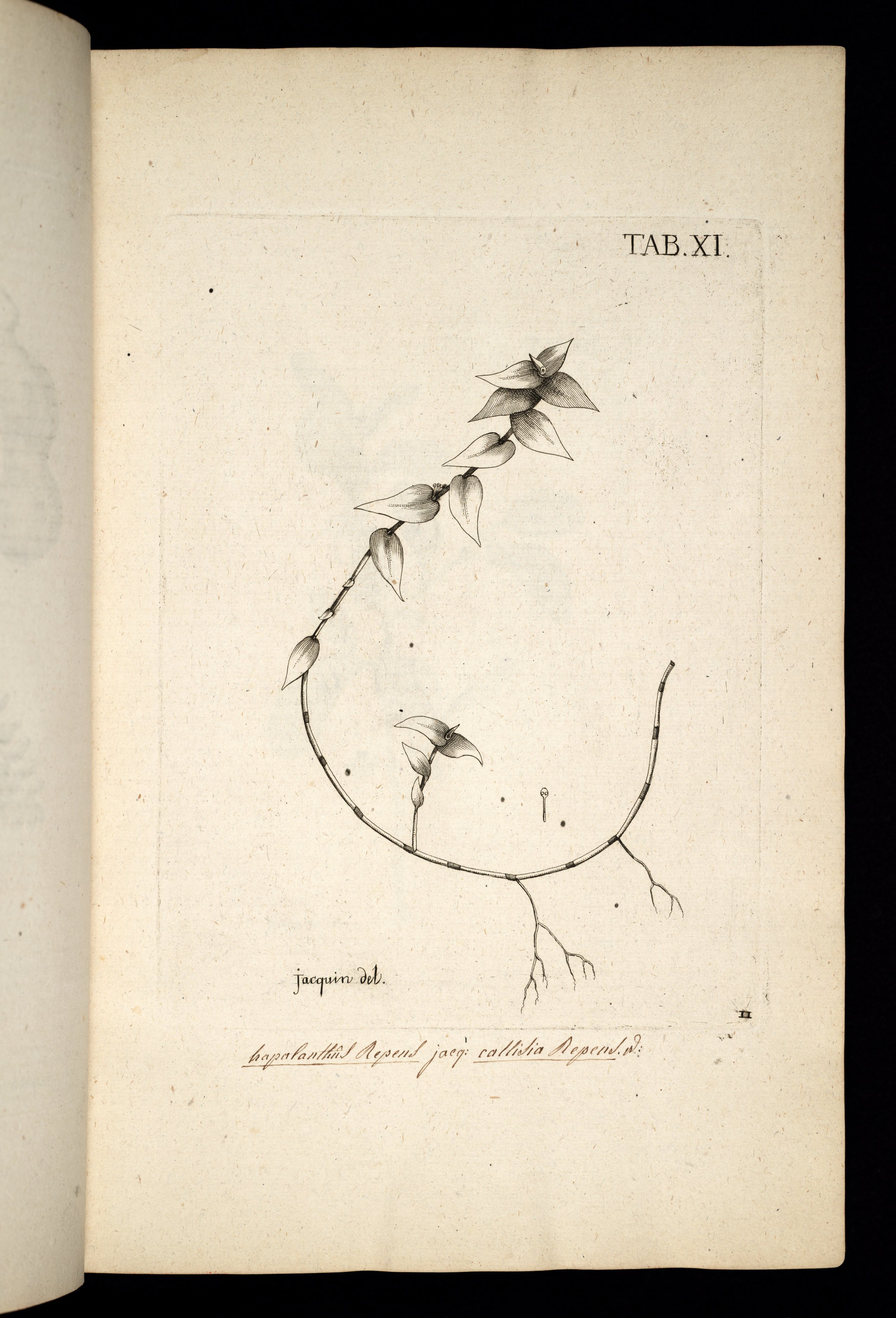 no full size  illustration available (3a)