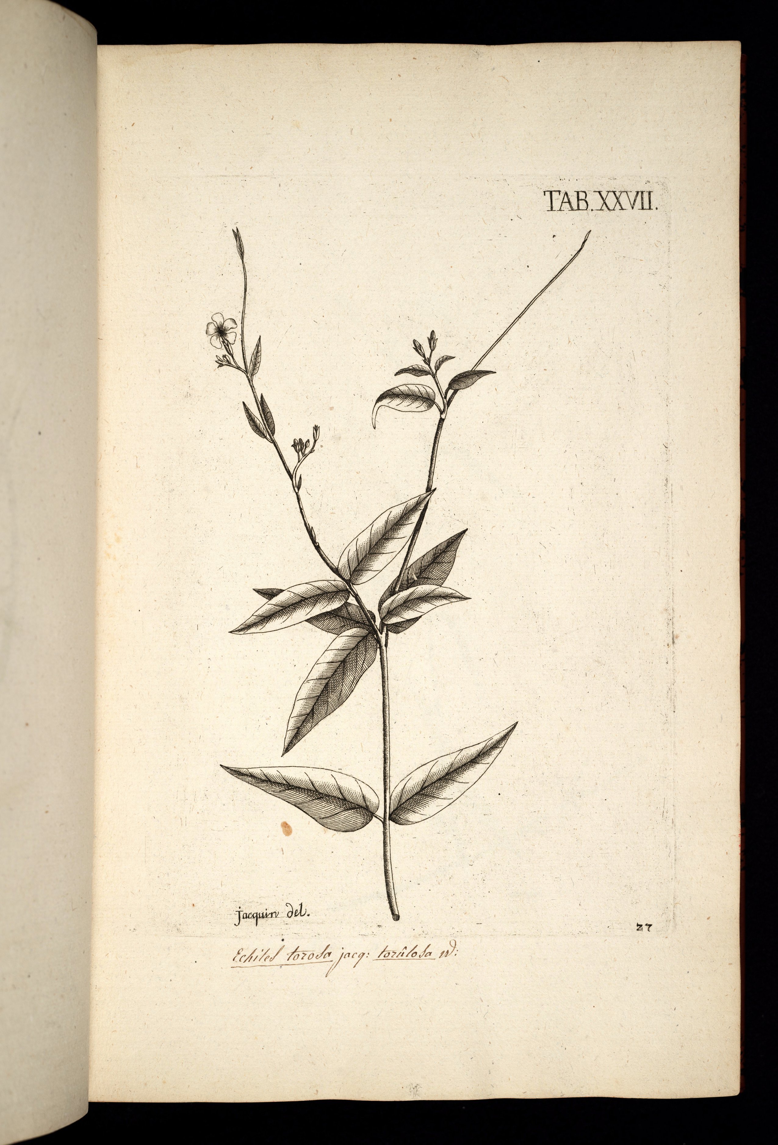 no full size  illustration available (3a)