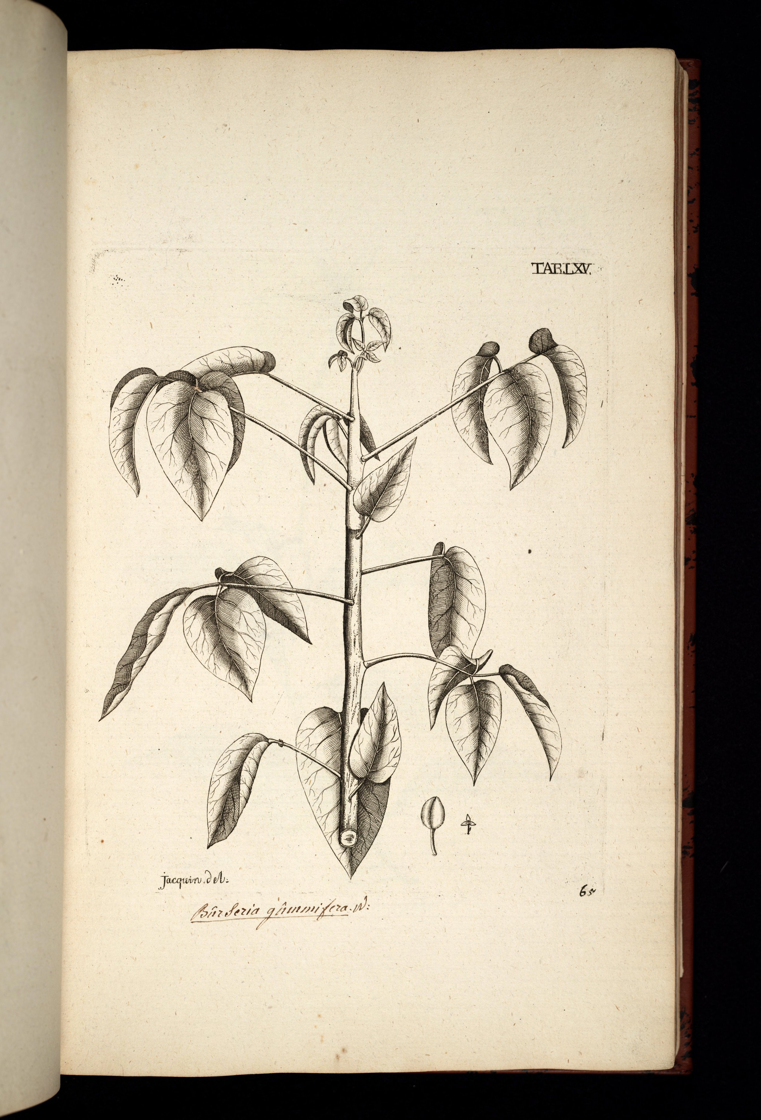 no full size  illustration available (3a)