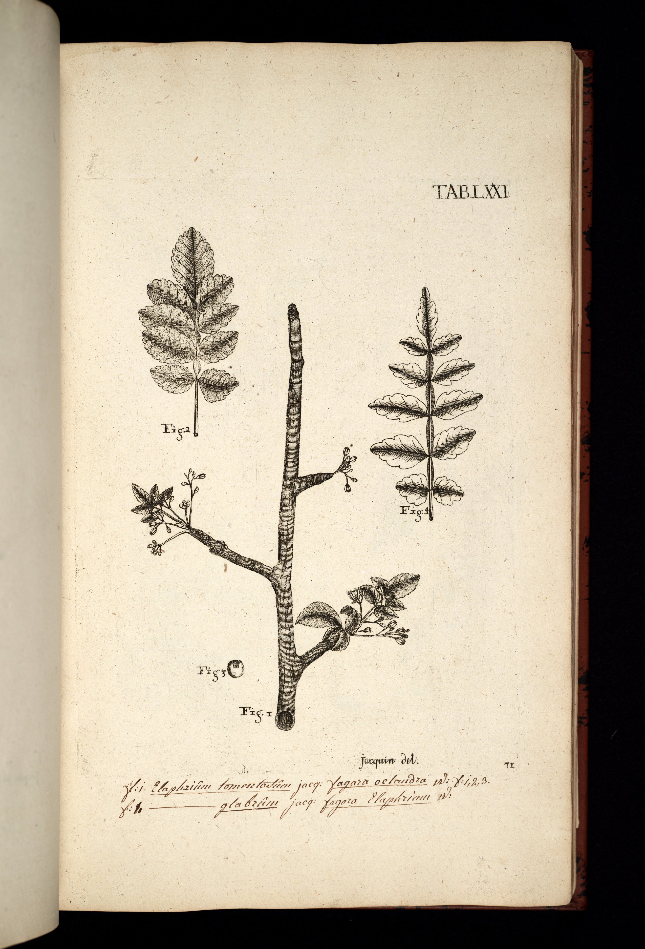 no full size  illustration available (3a)