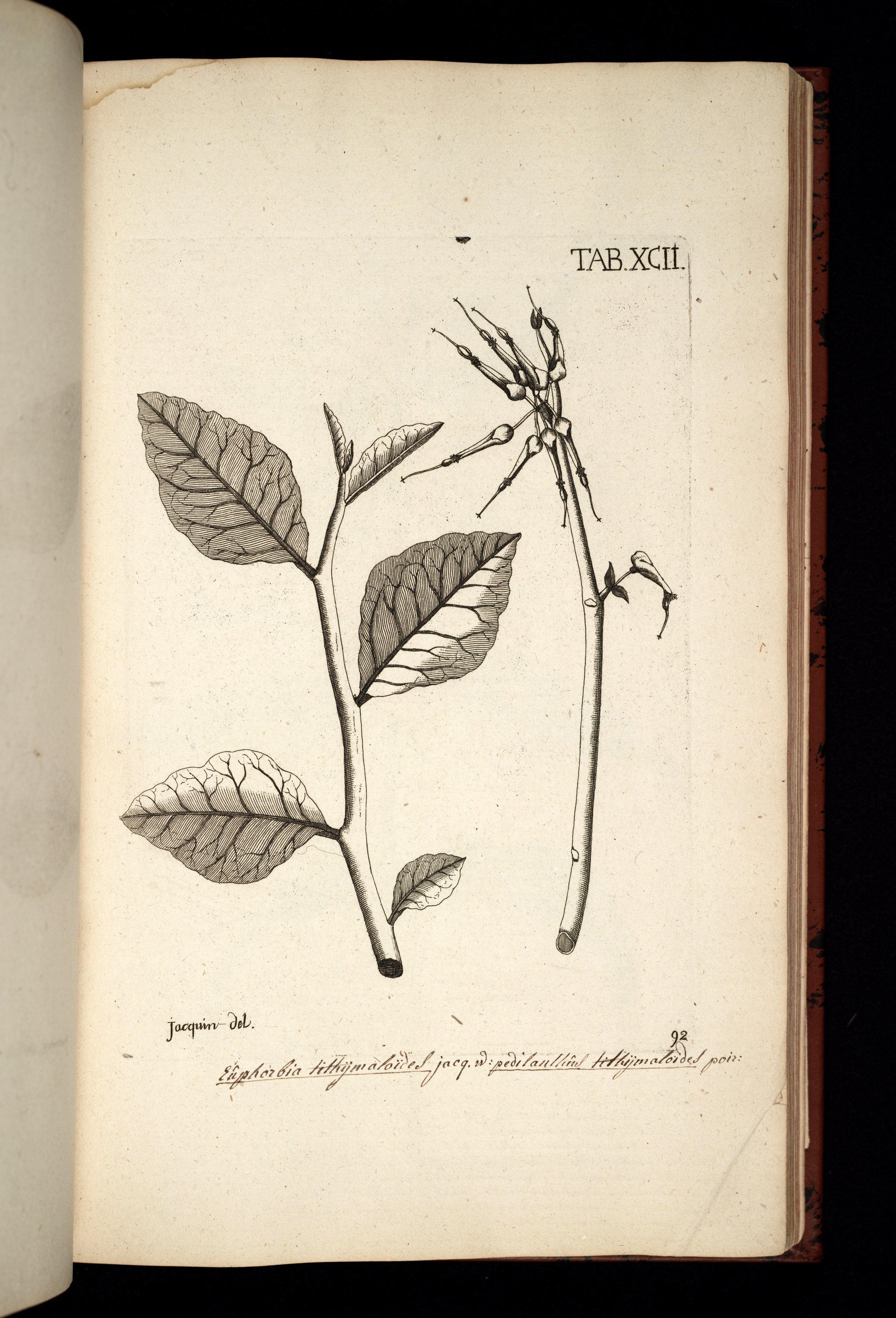 no full size  illustration available (3a)