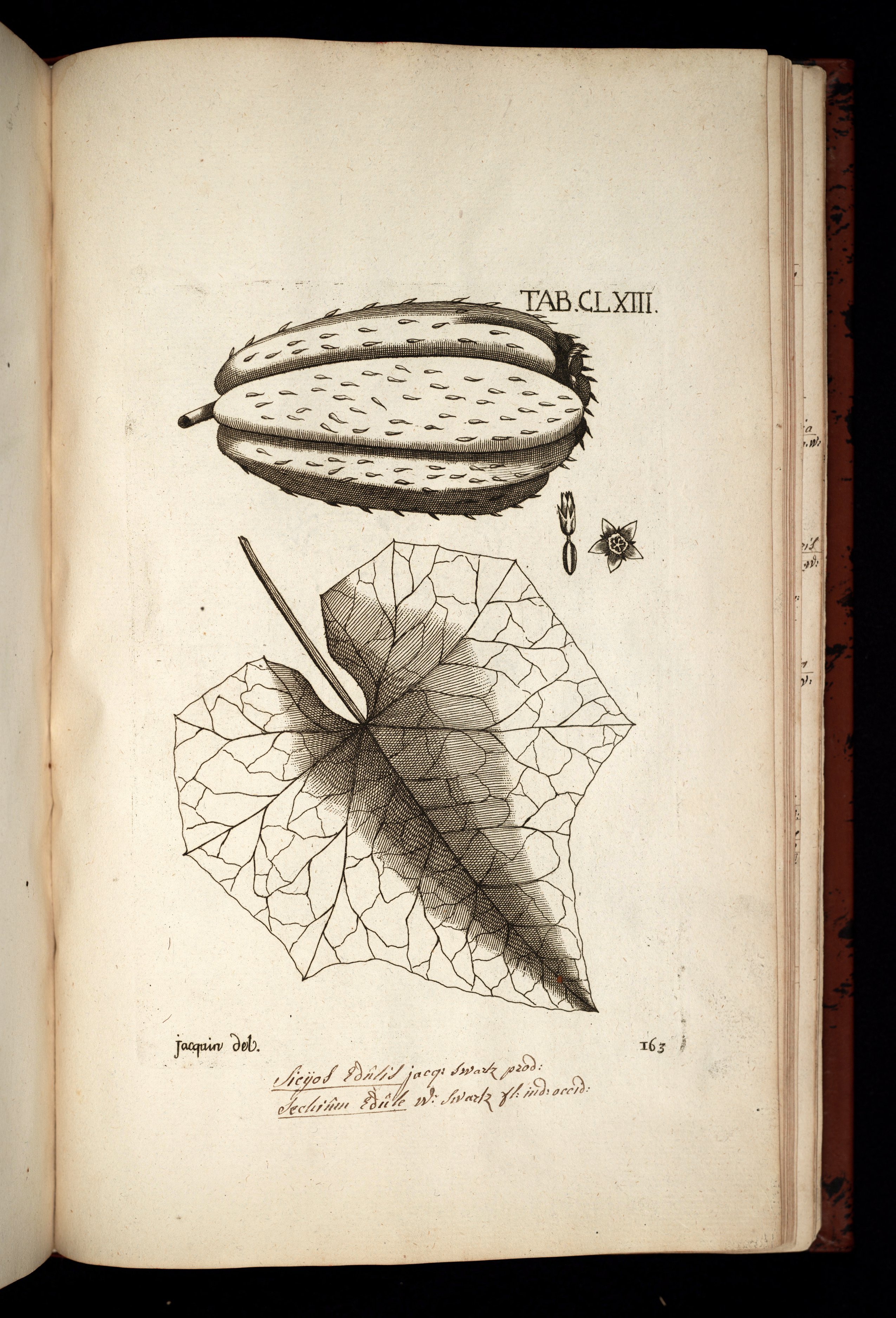 no full size  illustration available (3a)