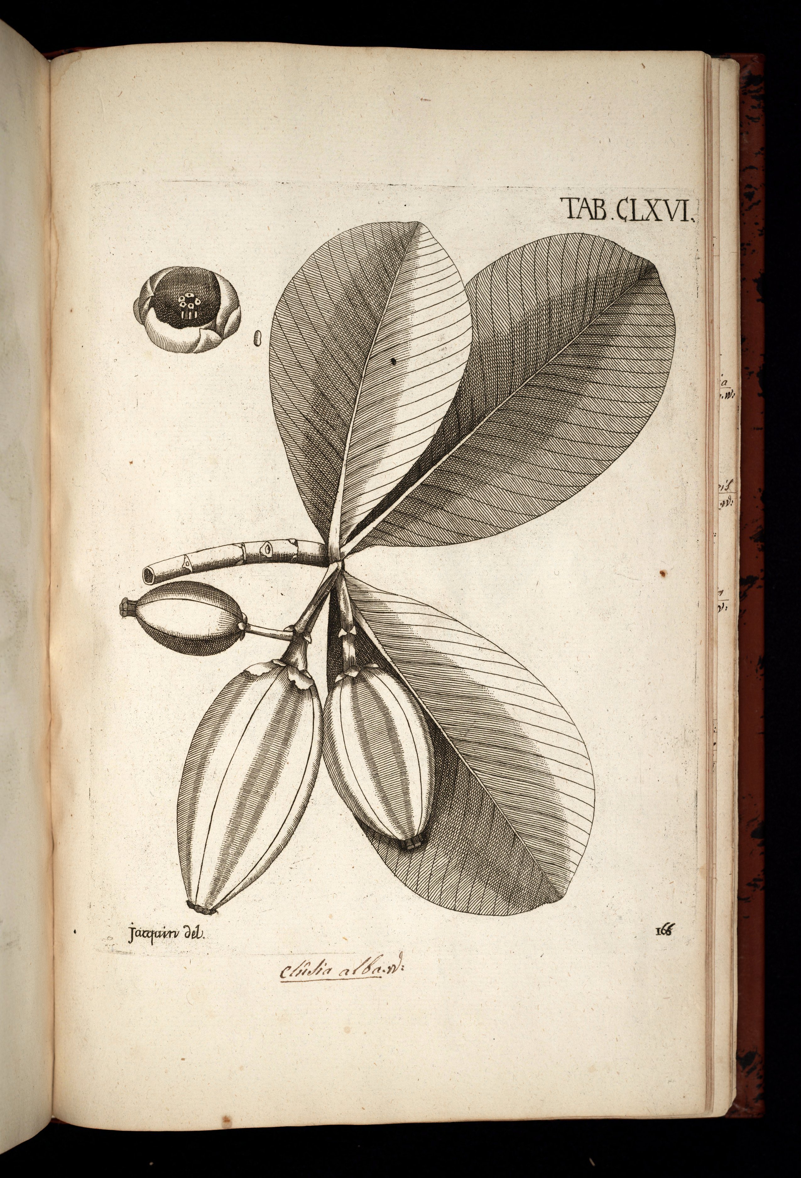 no full size  illustration available (3a)