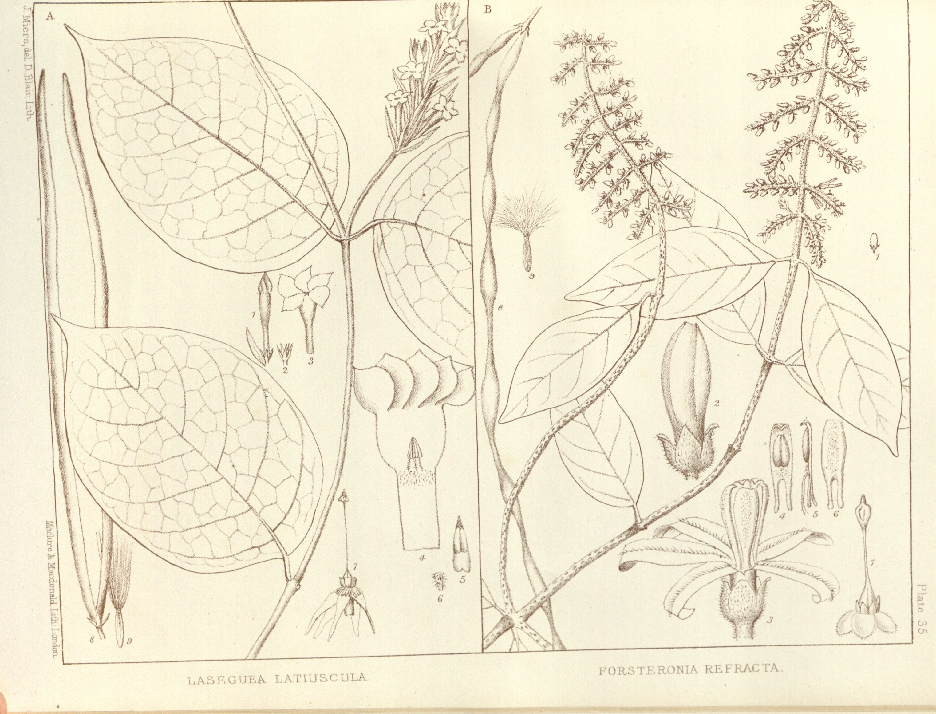 no full size  illustration available (3a)