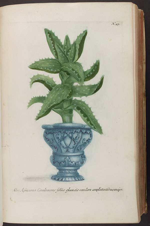 no full size  illustration available (3a)