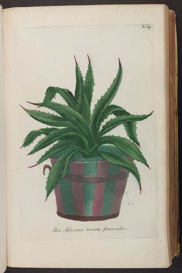 no full size  illustration available (3a)