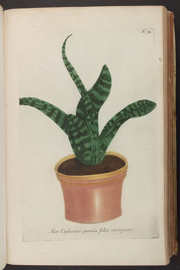 no full size  illustration available (3a)