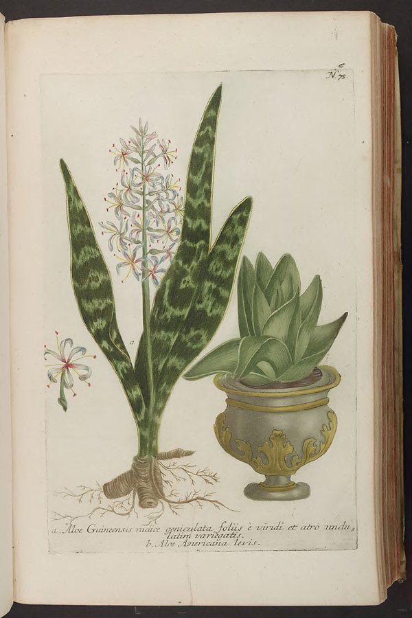 no full size  illustration available (3a)