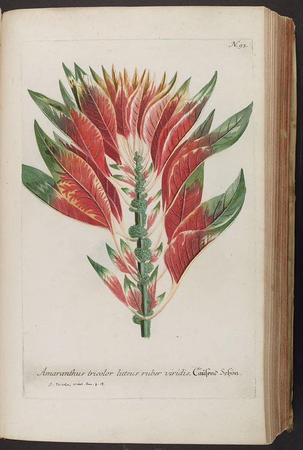 no full size  illustration available (3a)