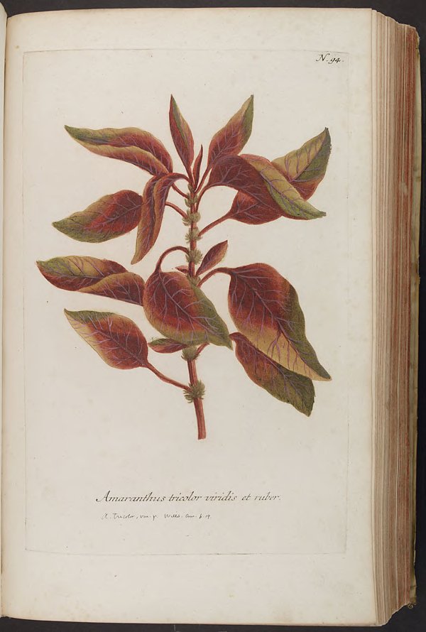 no full size  illustration available (3a)