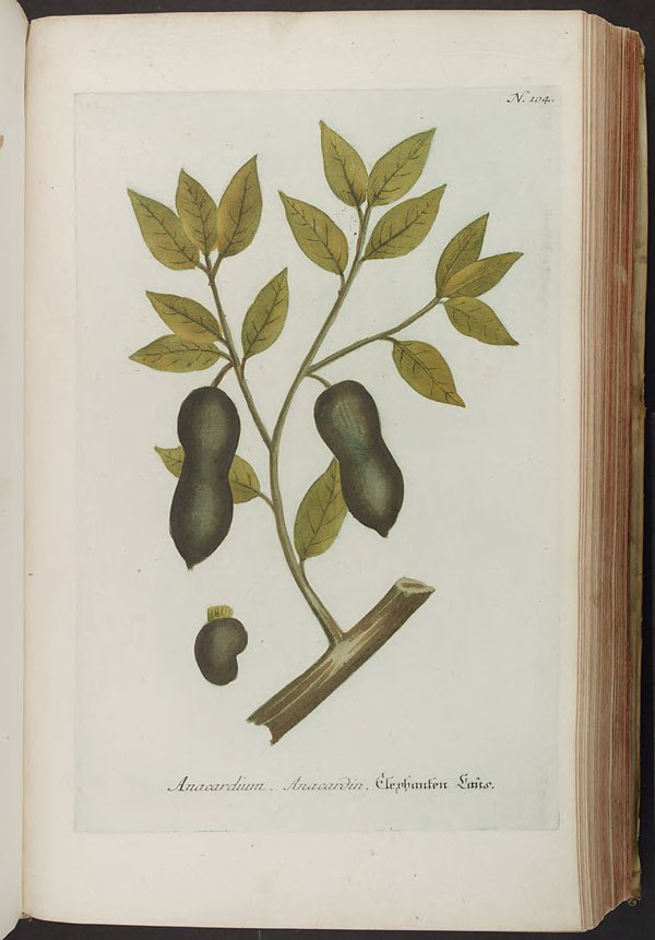 no full size  illustration available (3a)