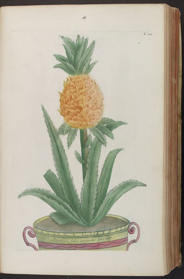 no full size  illustration available (3a)