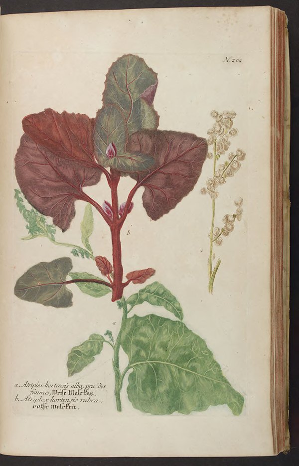 no full size  illustration available (3a)