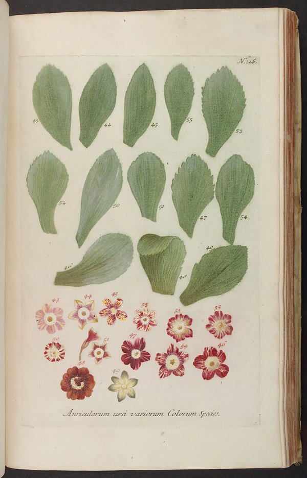 no full size  illustration available (3a)