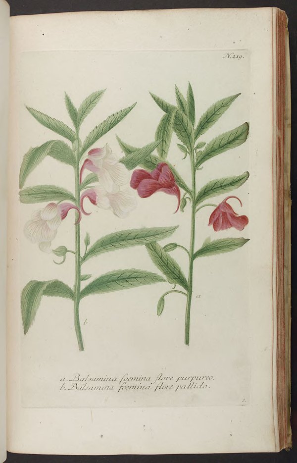 no full size  illustration available (3a)