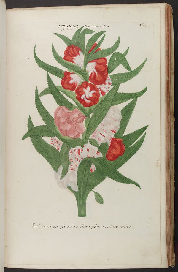 no full size  illustration available (3a)