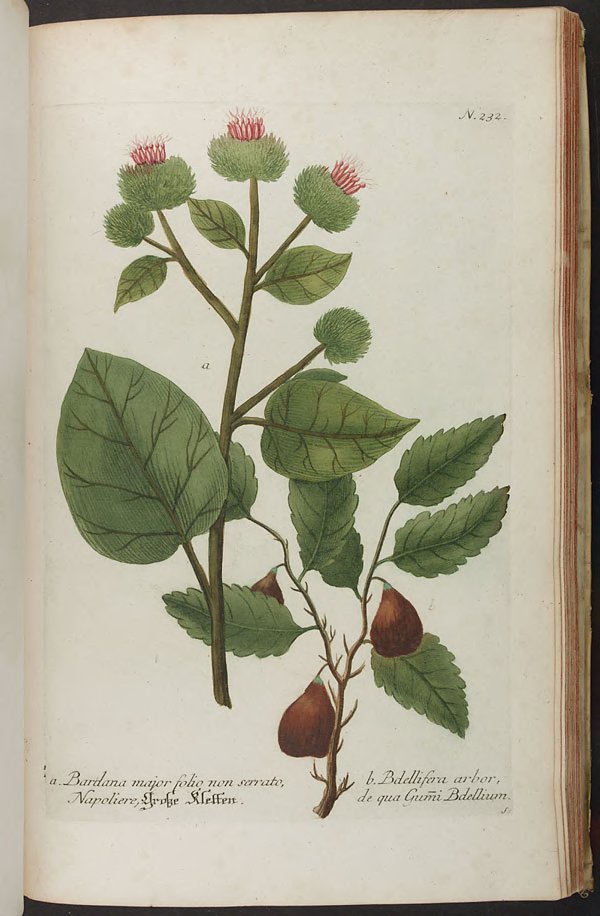 no full size  illustration available (3a)