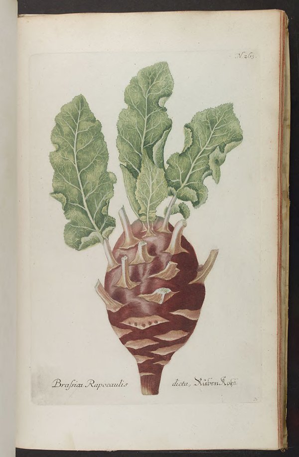 no full size  illustration available (3a)