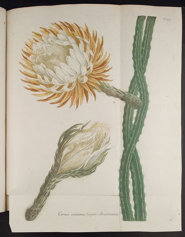 no full size  illustration available (3a)