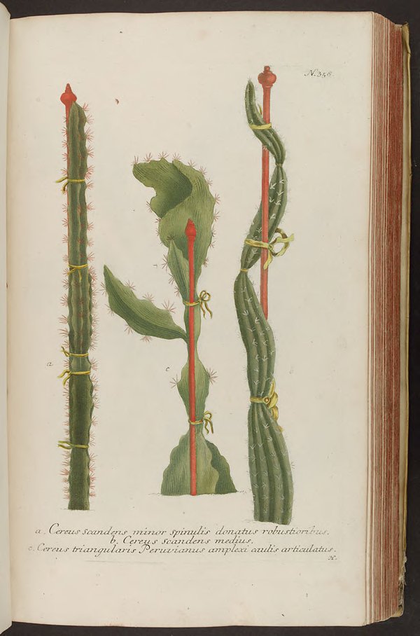 no full size  illustration available (3a)